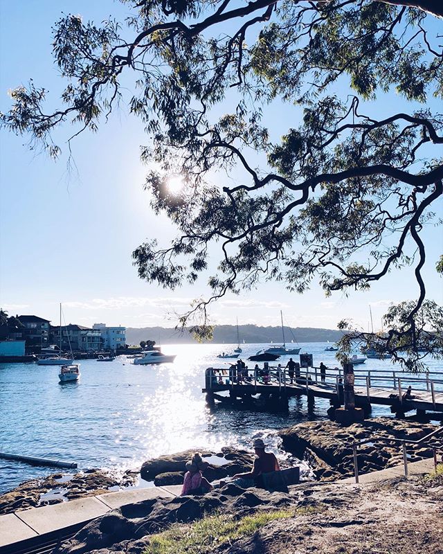 Bracing for tomorrow 🌬 #sydneylocal #vaucluse #ilovesydney #windhailrain #istillloveweddings #📷 #shotoniphone #vsco