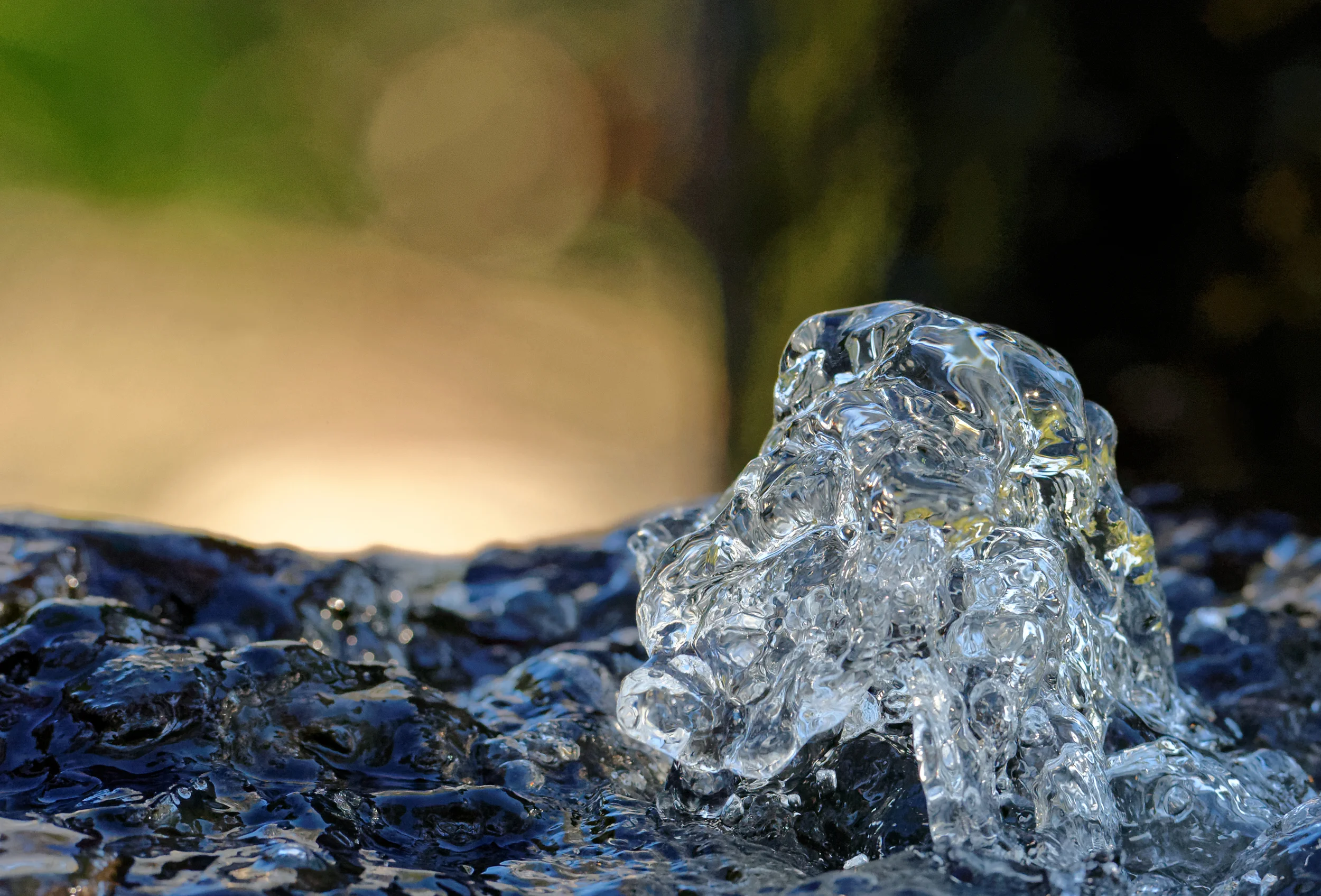 DSC_5955_DxO.jpg