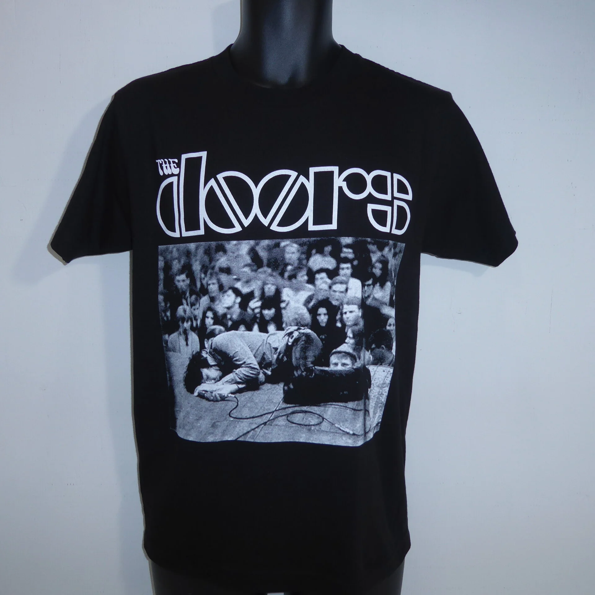 P1080687 DOORS (LAYING DOWN).JPG