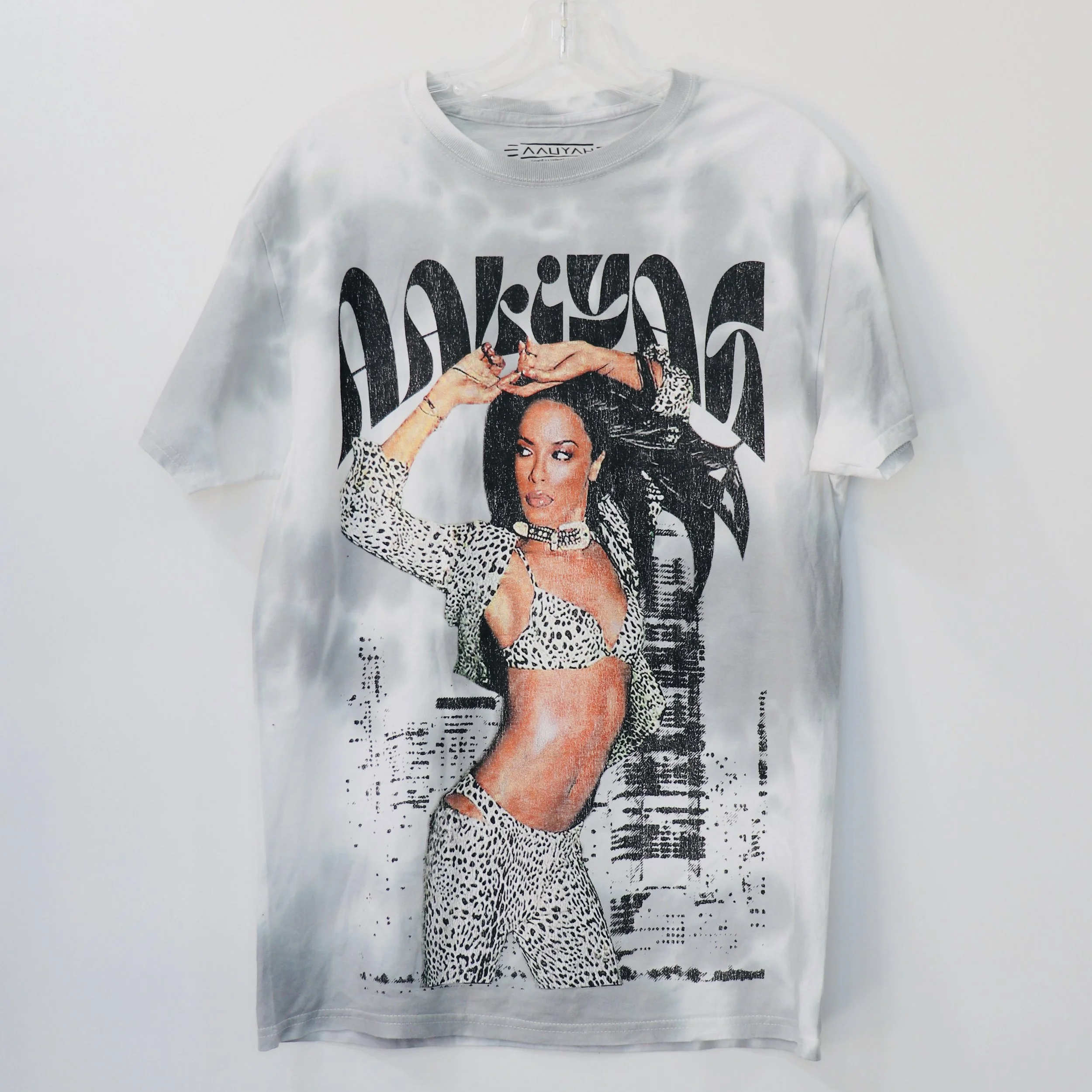 (2 DOLLAR) HIP HOP - AALIYAH GREY IMG_3687.JPG