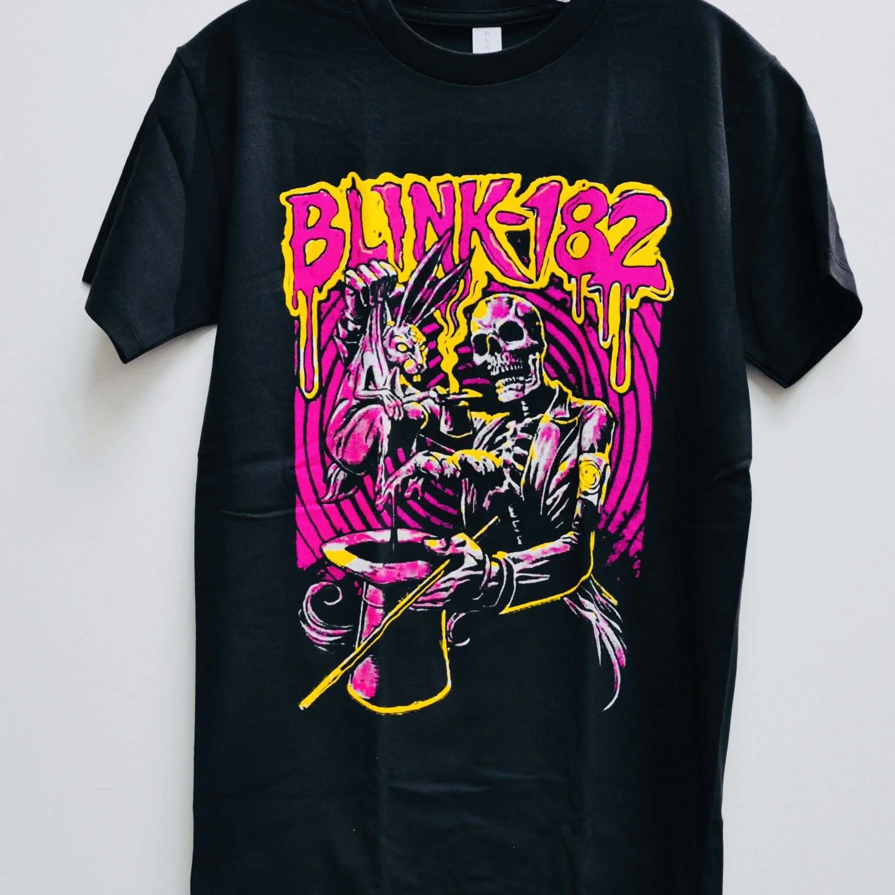 DARK ZONES TSHIRT BAND_BLINK 182 PINK DSC_0048.JPG