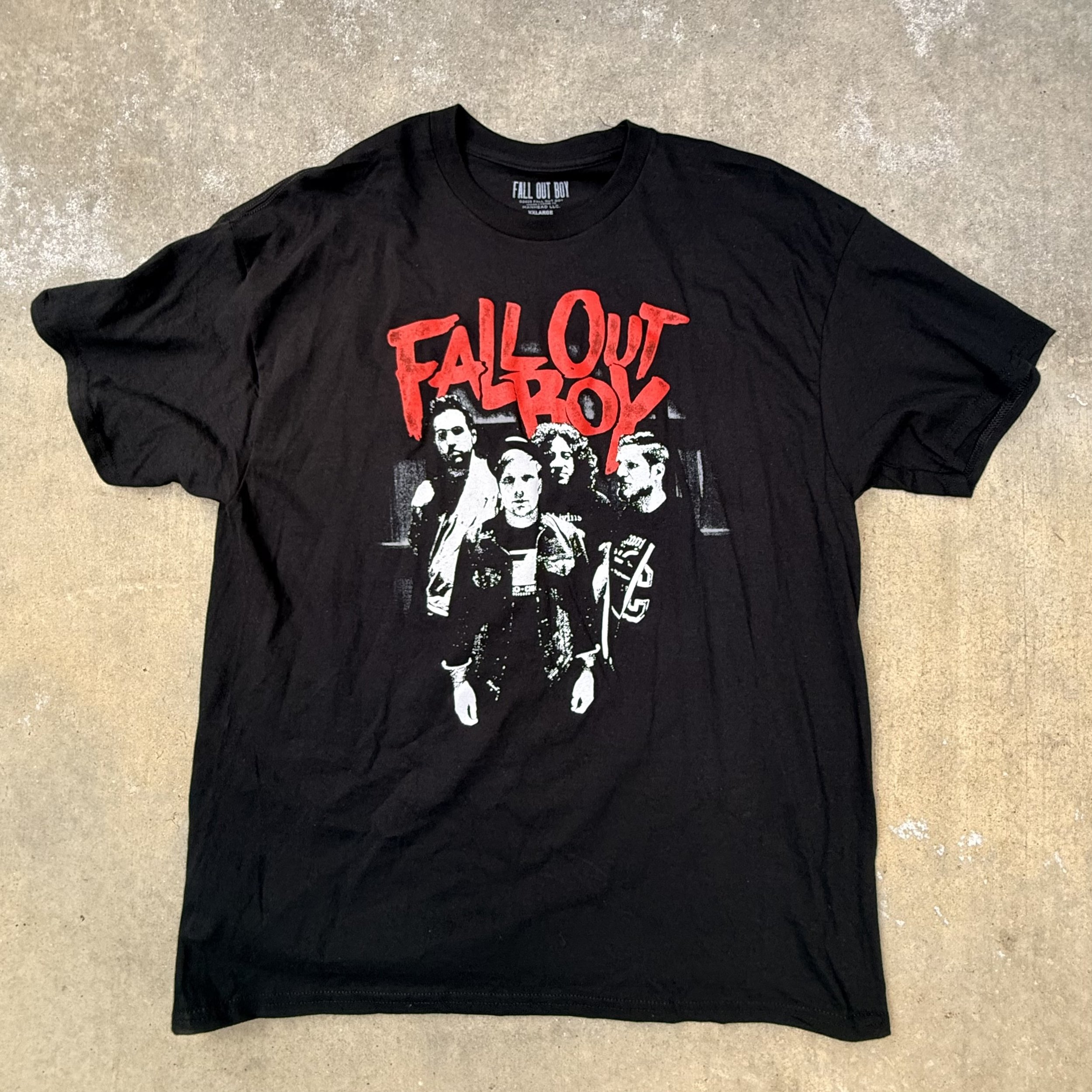 FALL OUT BOY IMG_7784.jpeg