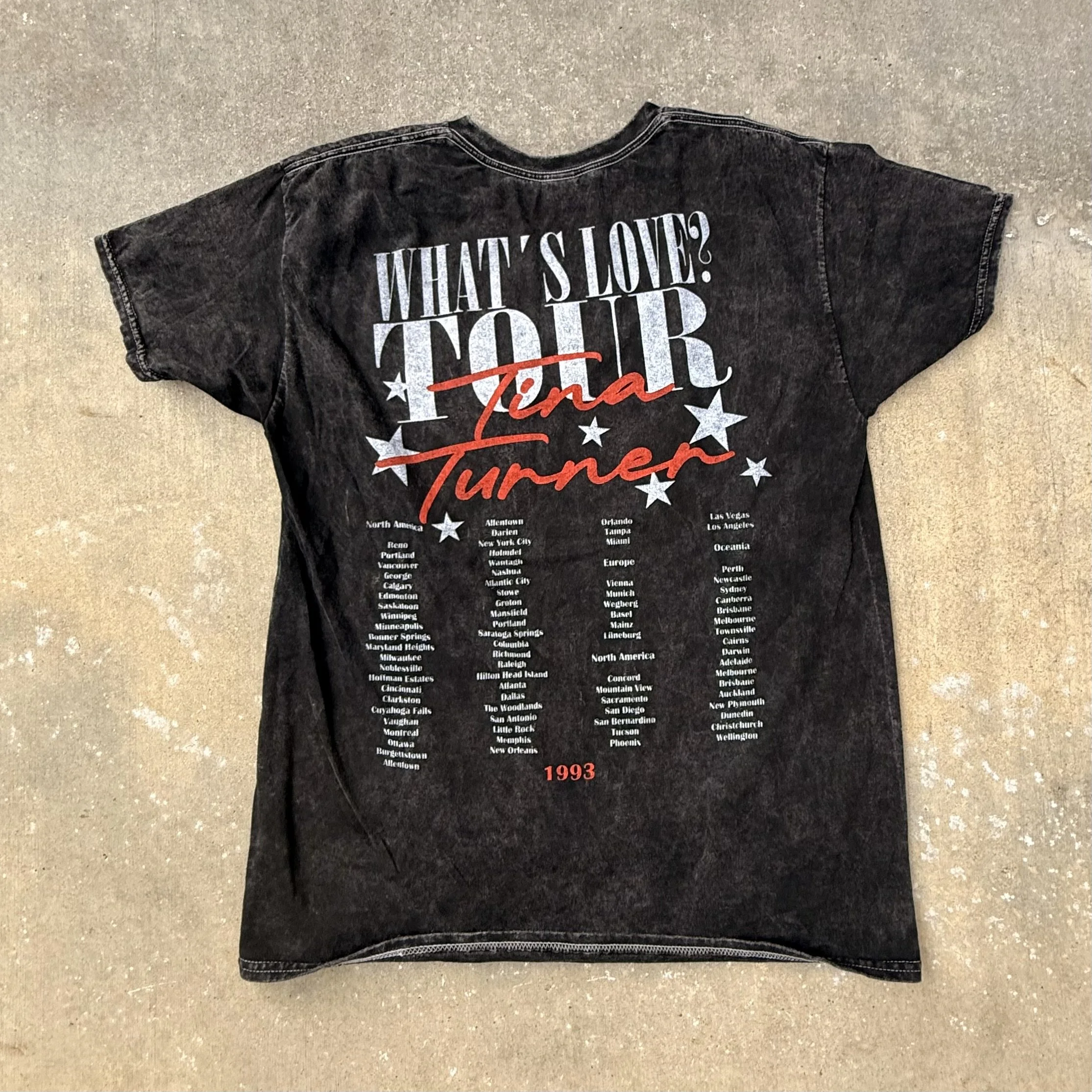 TINA TURNER IMG_7513.jpeg