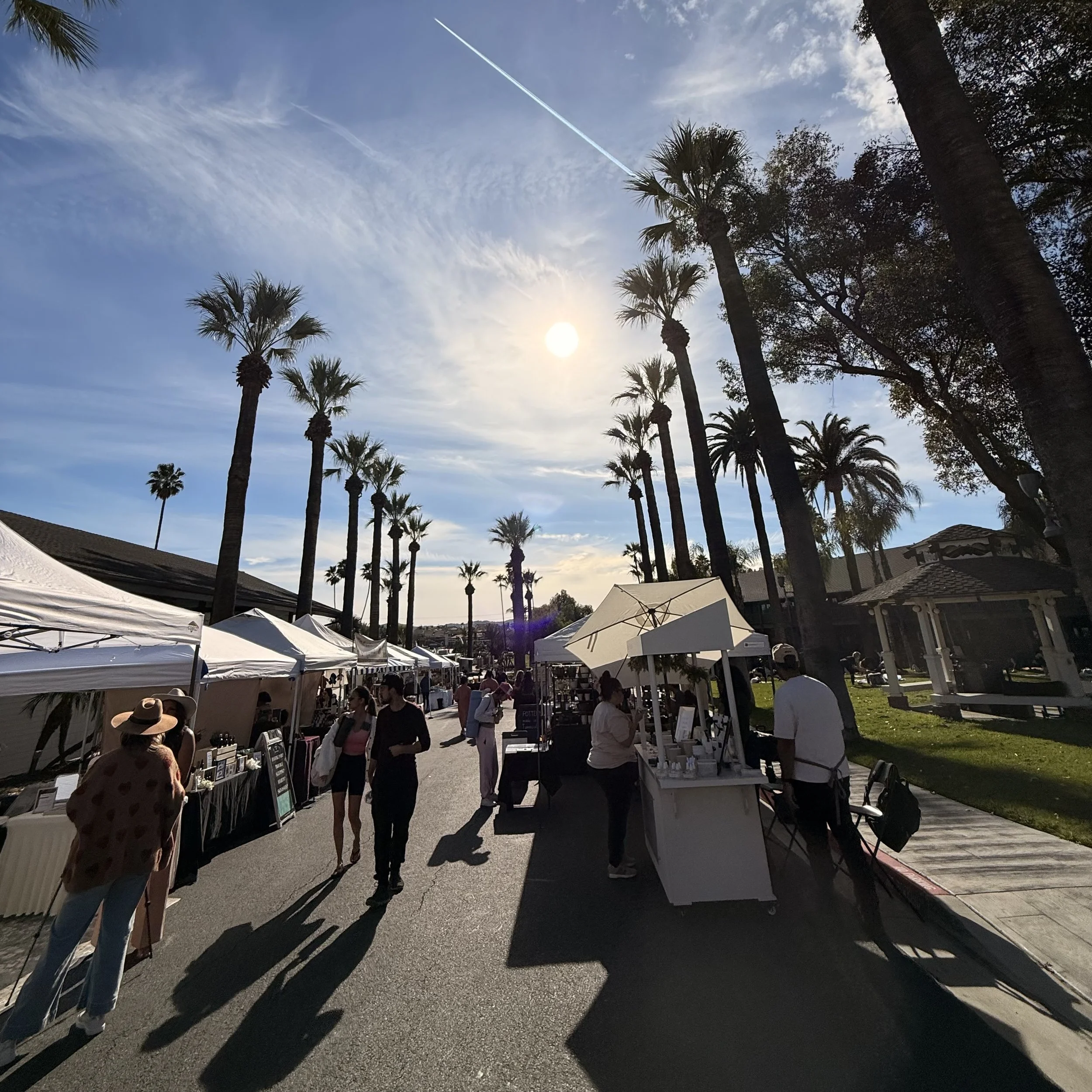 WEEK #05 MURRIETA IMG_7676.jpeg