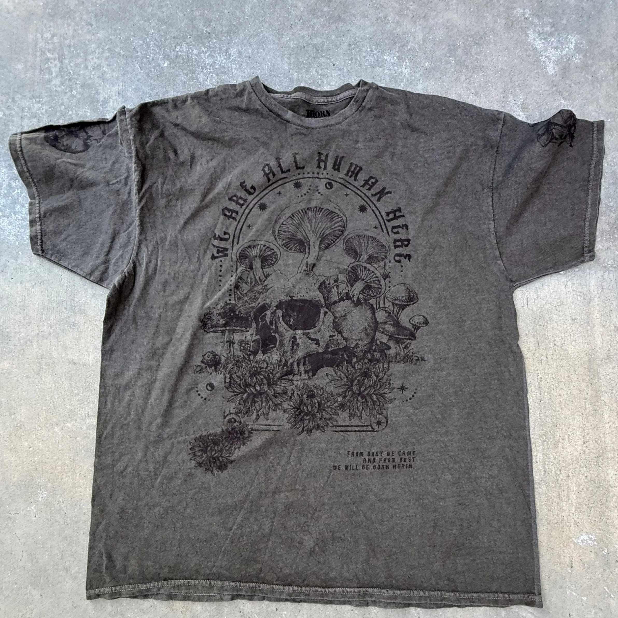 GRAPHIC TEE_WE ARE ALL HUMAN IMG_8109.jpeg