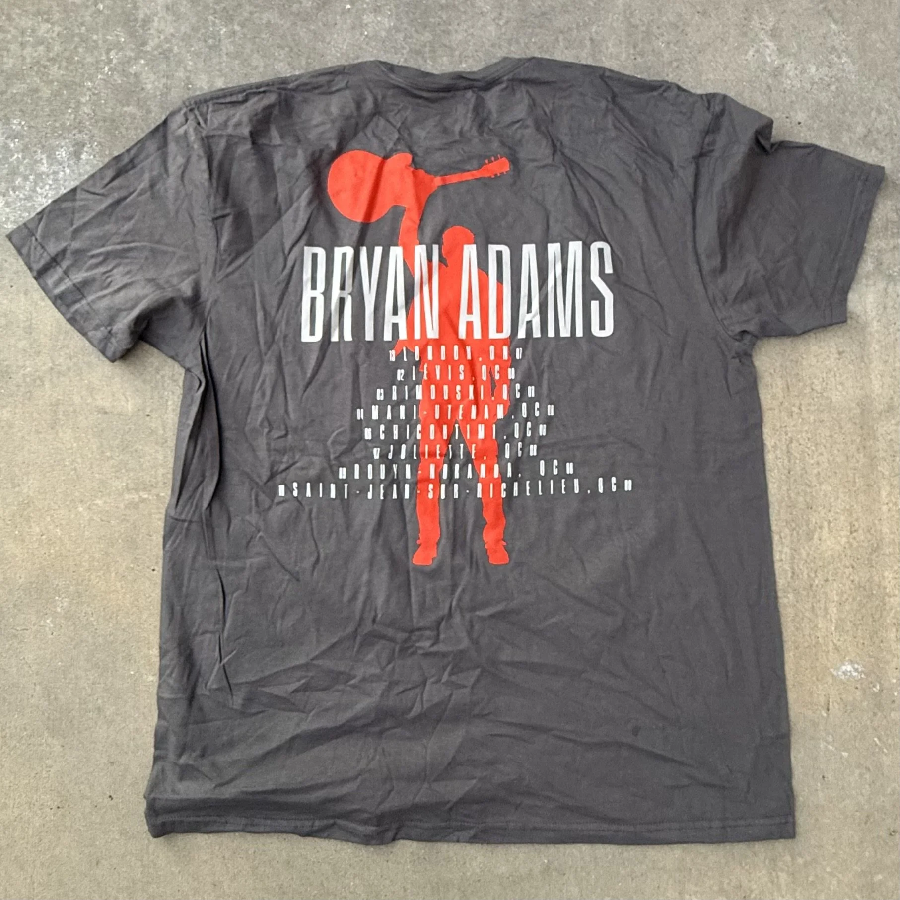 BAND TEE_BRYAN ADAMS GREY B IMG_8064.jpeg