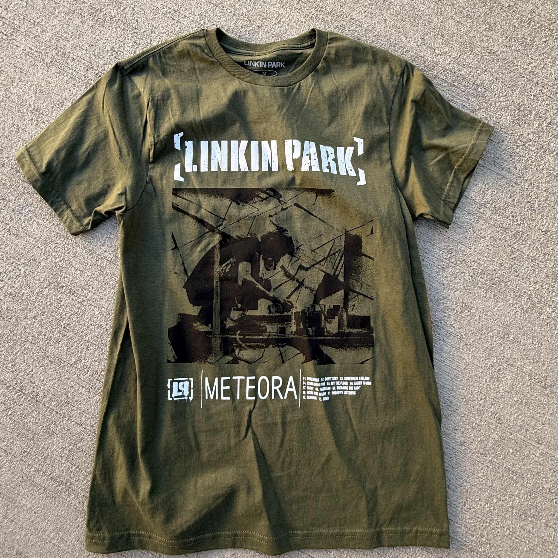 LINKIN PARK_METEORA GREEN IMG_8918.jpeg