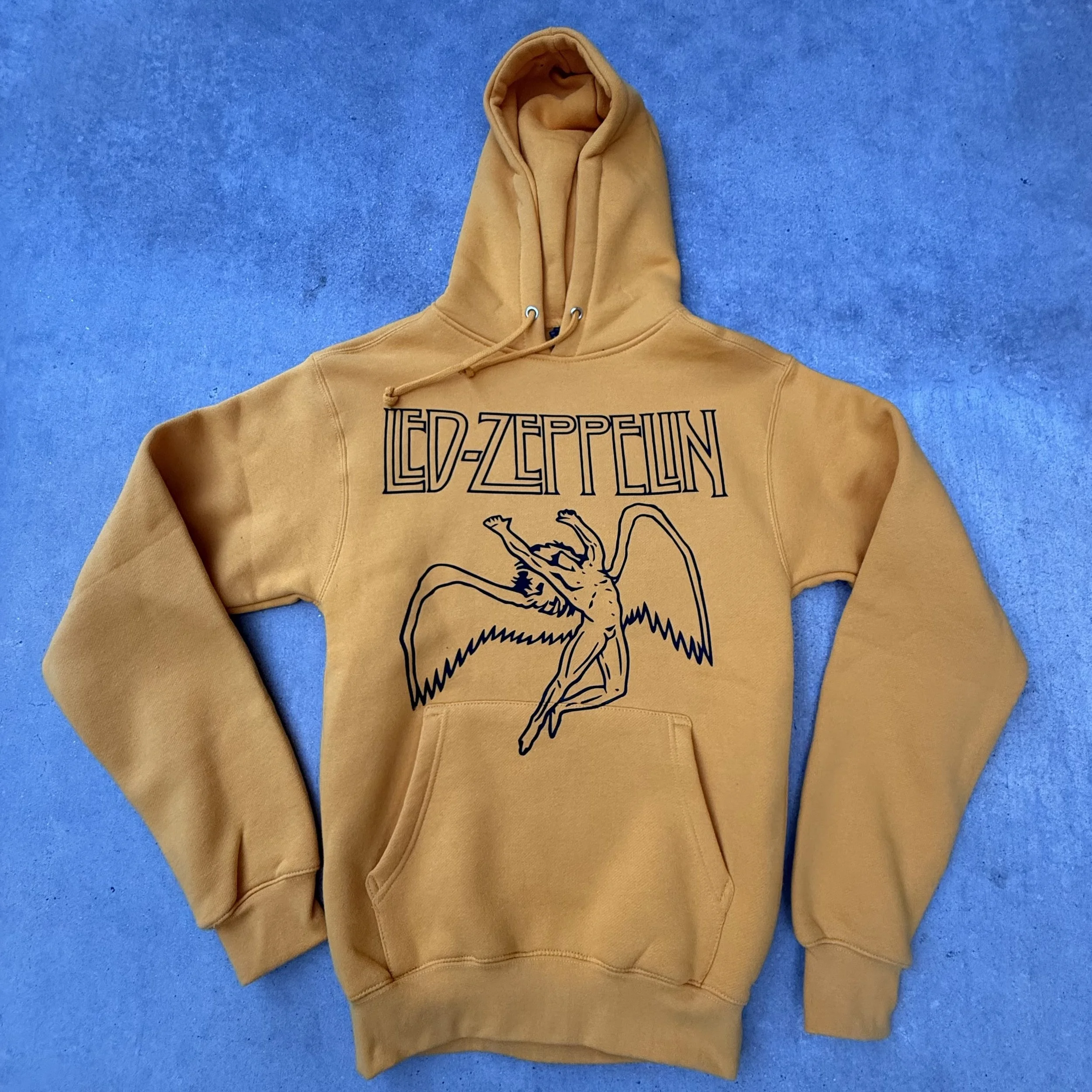 HOODIE_LED ZEPPELIN IMG_9247.jpeg