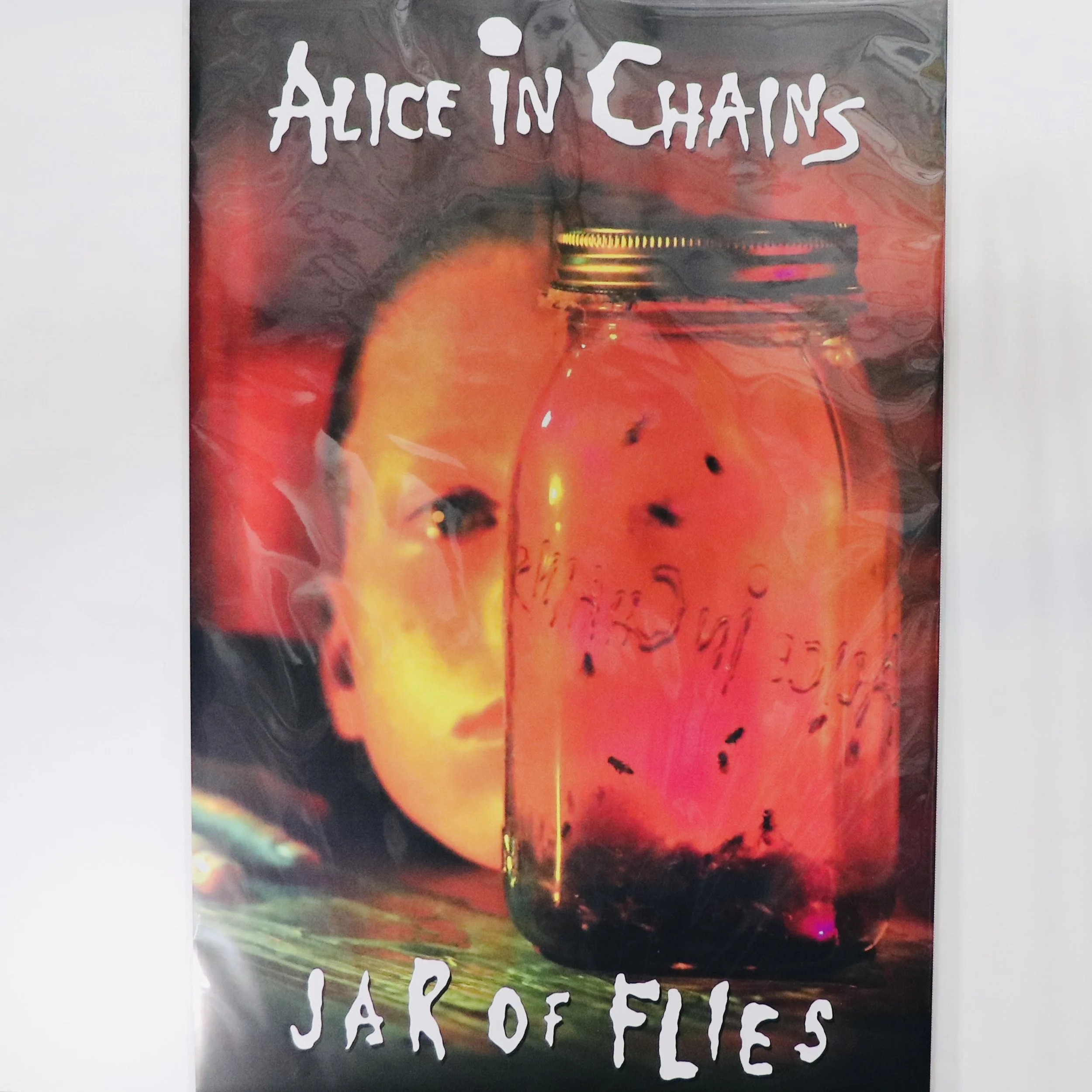 ALICE IN CHAINS_JAR OF FLIES IMG_6115.JPG