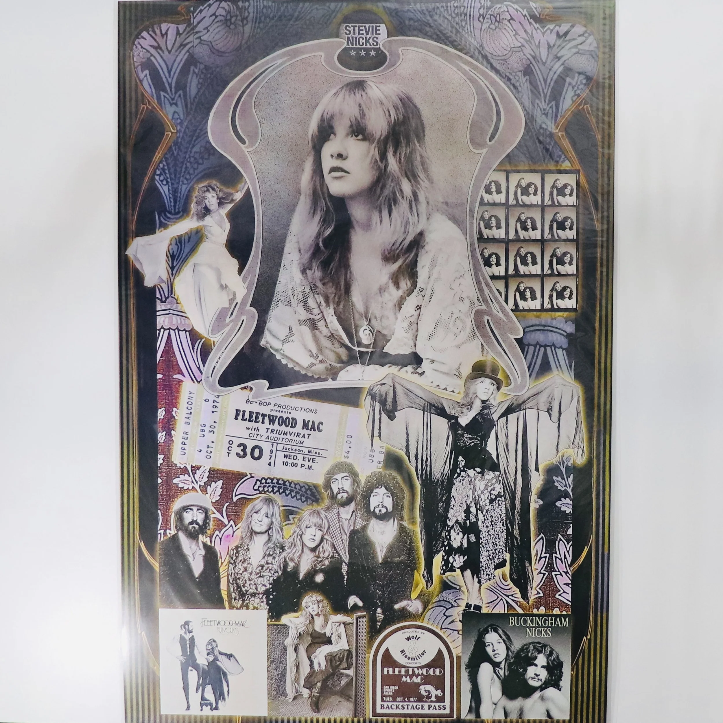 FLEETWOOD MAC_STEVIE NICKS IMG_6106.JPG