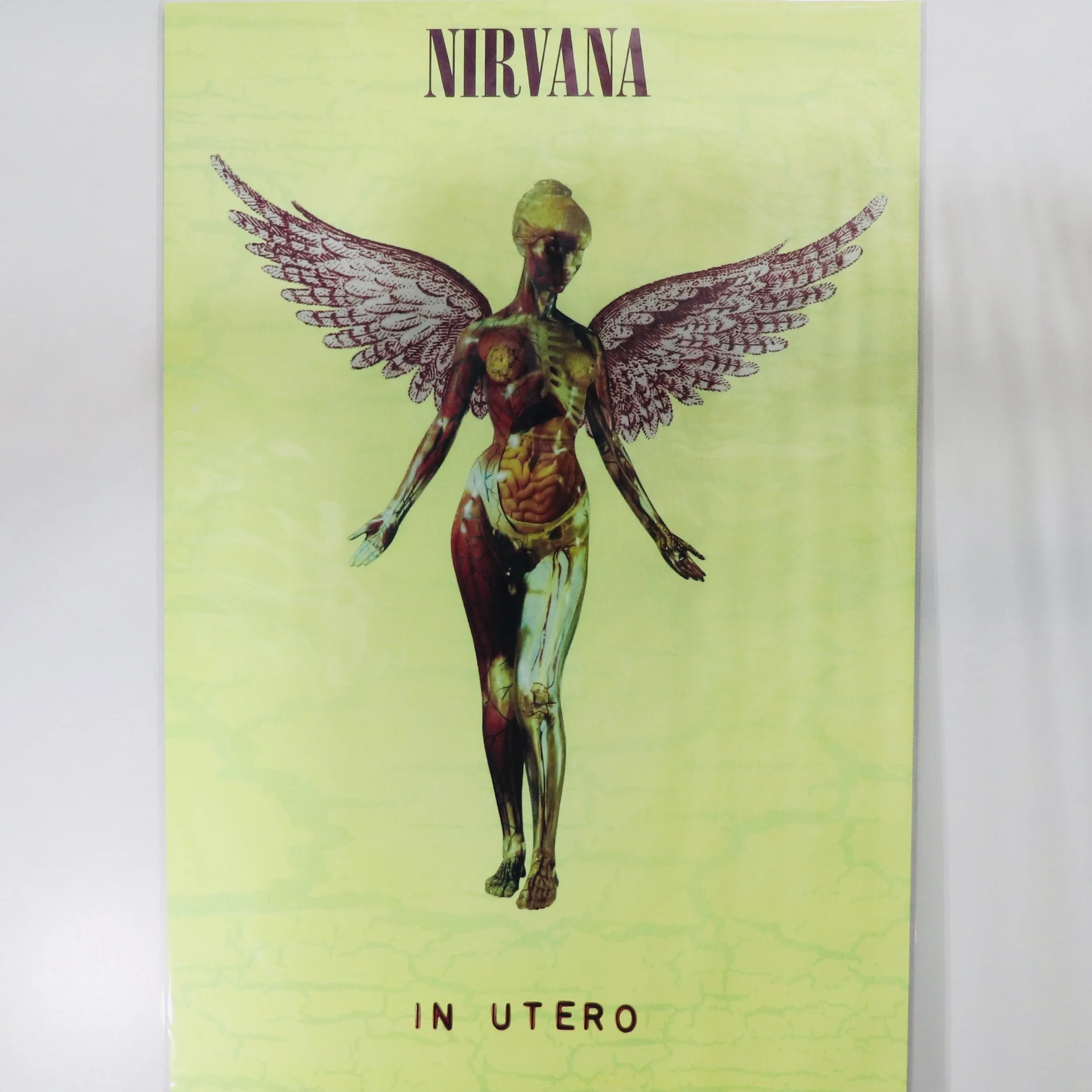 NIRVANA_IN UTERO IMG_6117.JPG