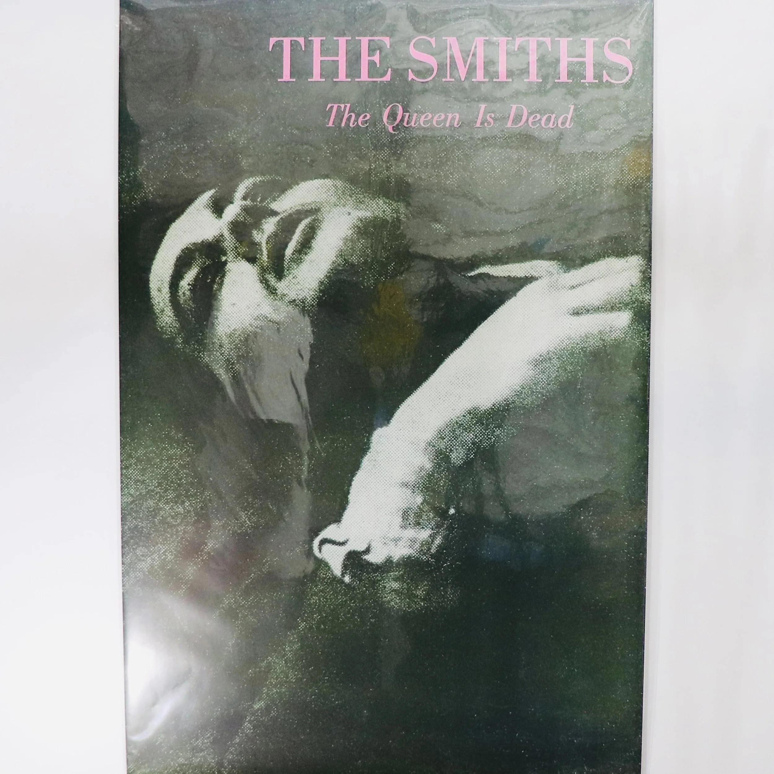 SMITHS IMG_6137.JPG