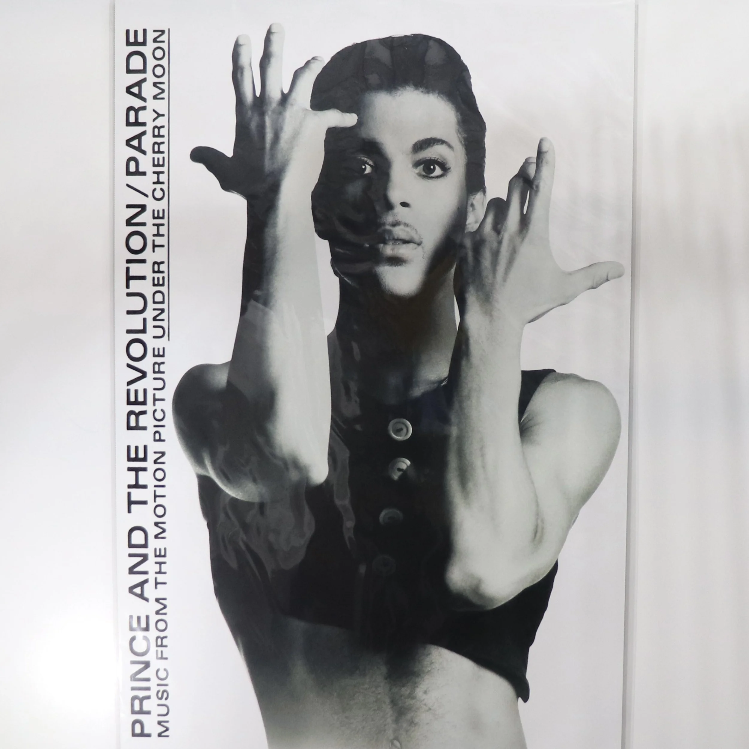 PRINCE IMG_6116.JPG