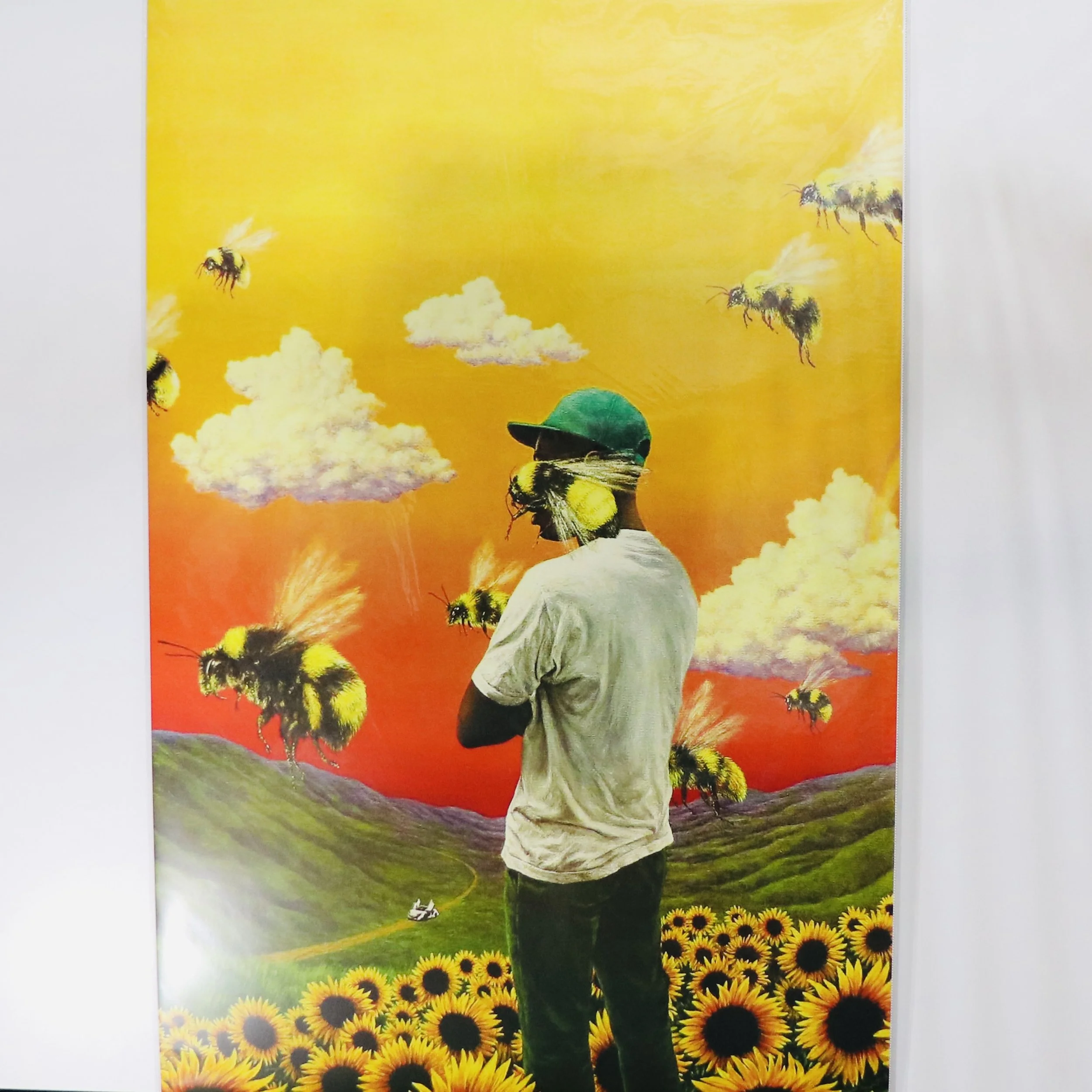 TYLER_FLOWER BOY IMG_6134.JPG