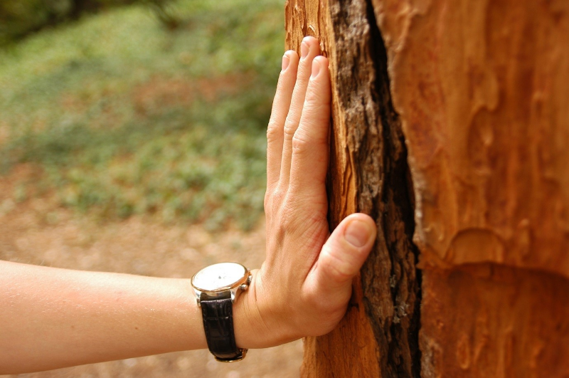 Just imagine how much papers we are saving! Deeper than that, the trees we are saving.