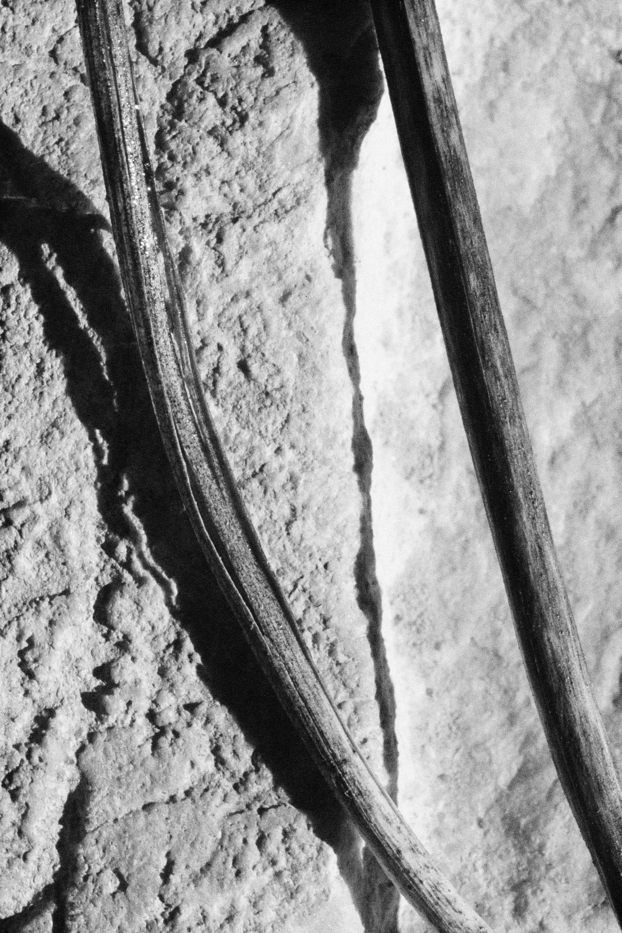BW7.jpg