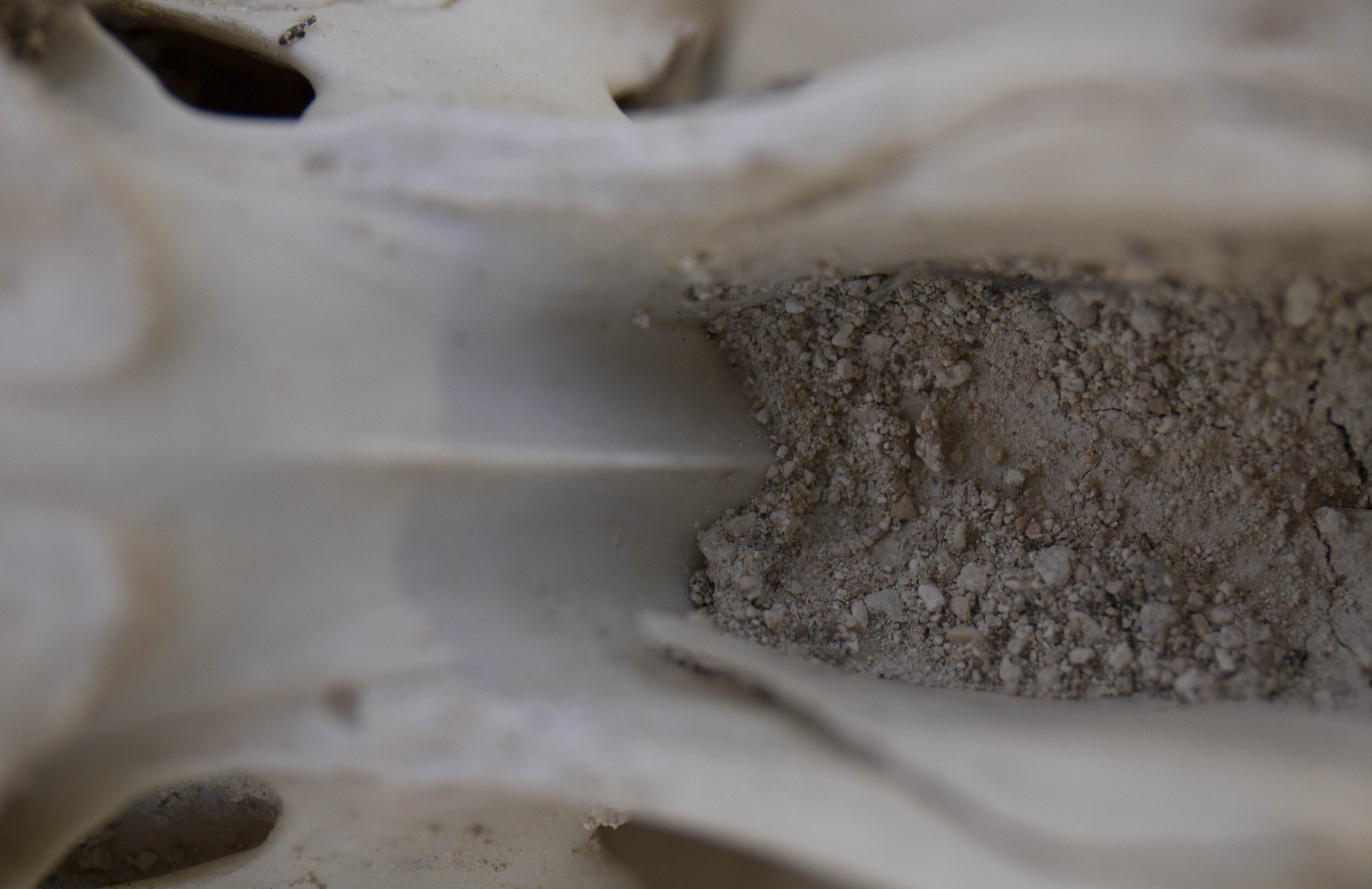 macrocosmos_skull34.jpg