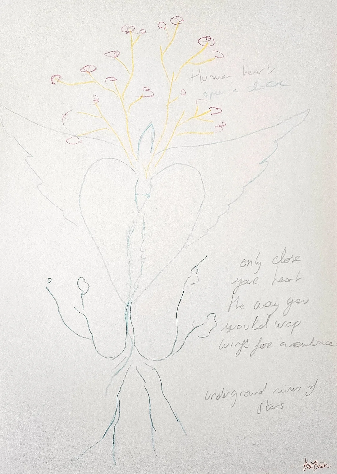 sketches forests-13.jpg