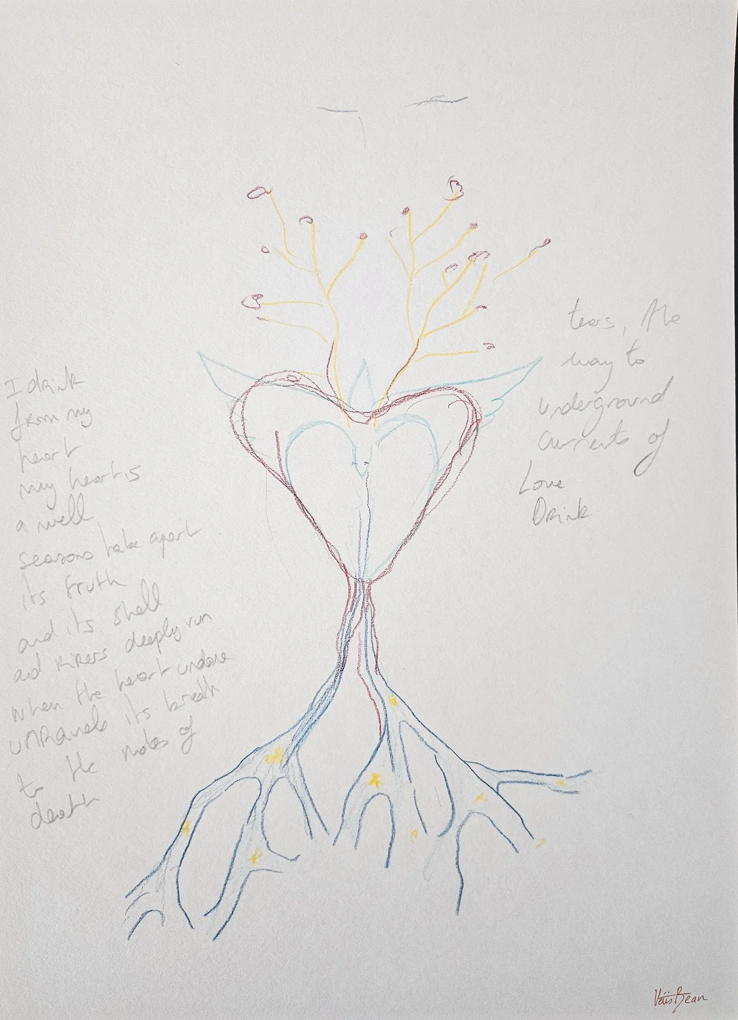sketches forests-12.jpg