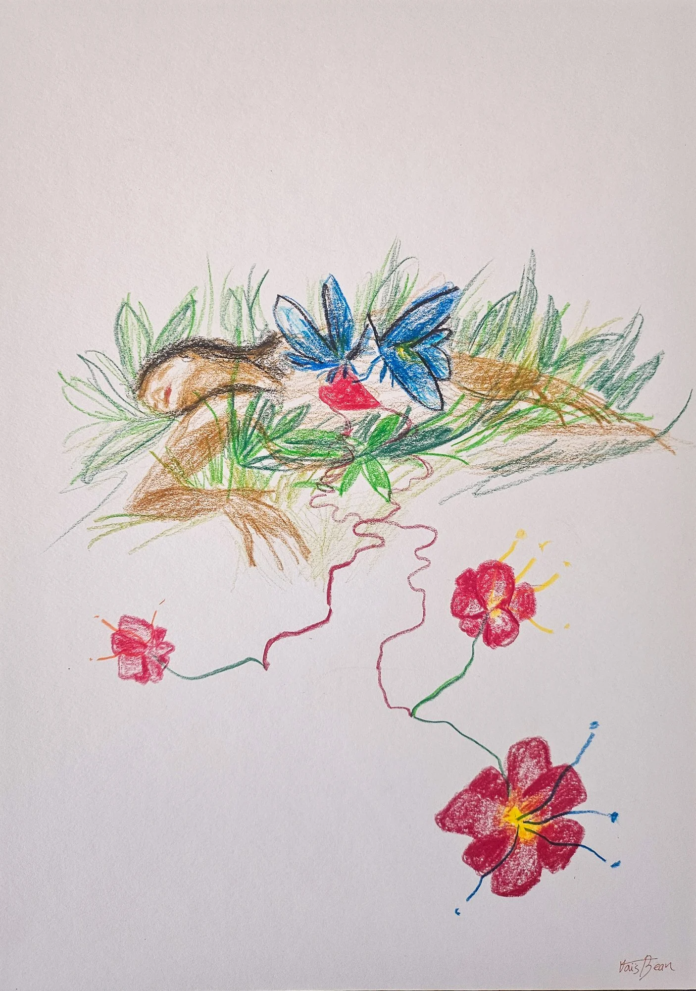 sketches forests-10.jpg