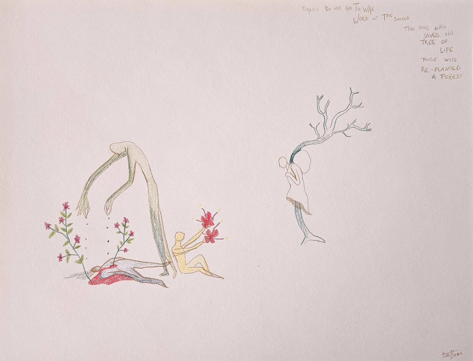 sketches forests-9.jpg