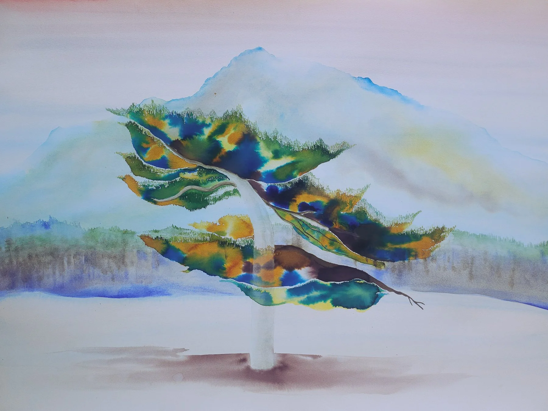 Corsican Pine and Ancestral Voices.jpg