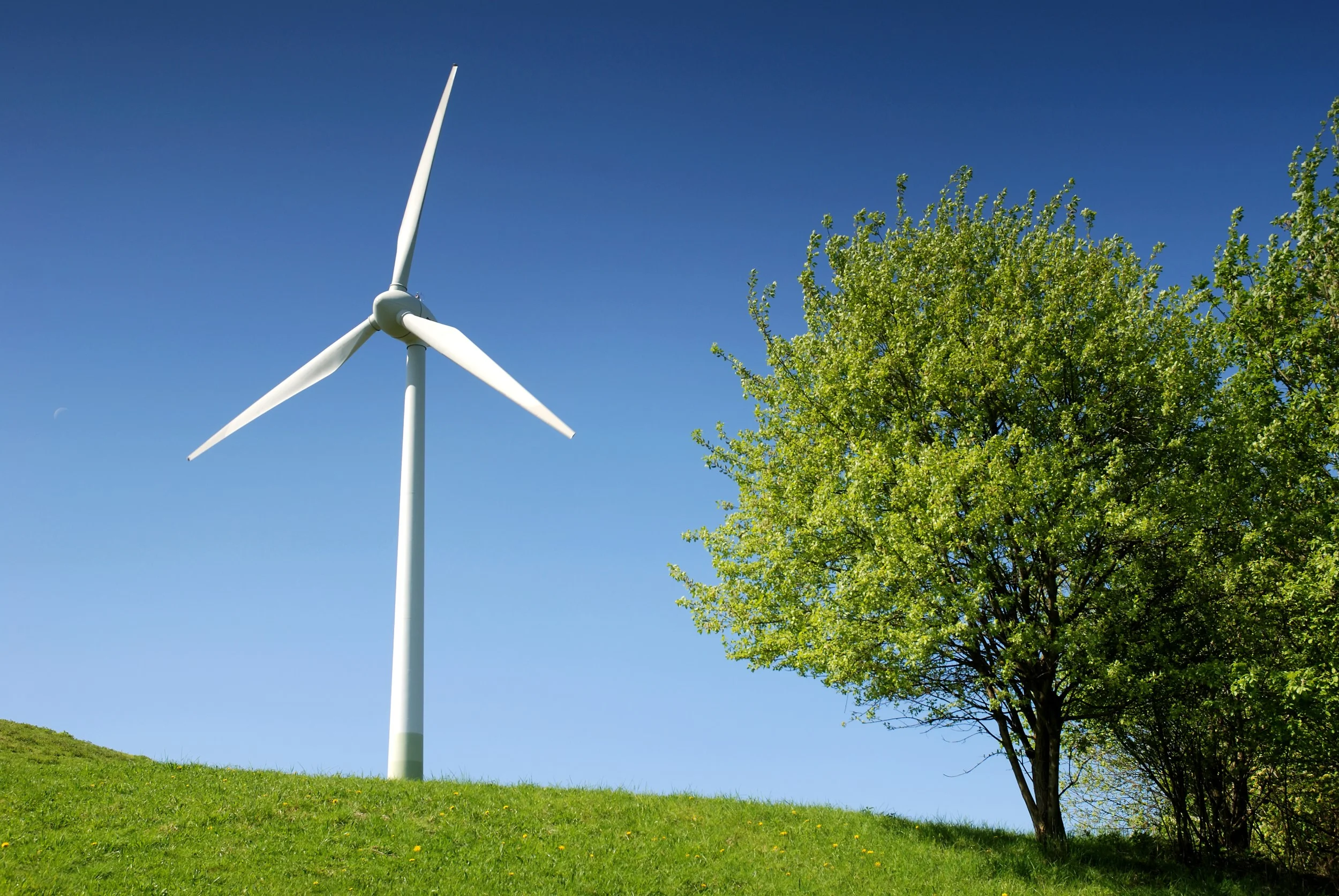 WindradFotolia8278022XLneu.jpg