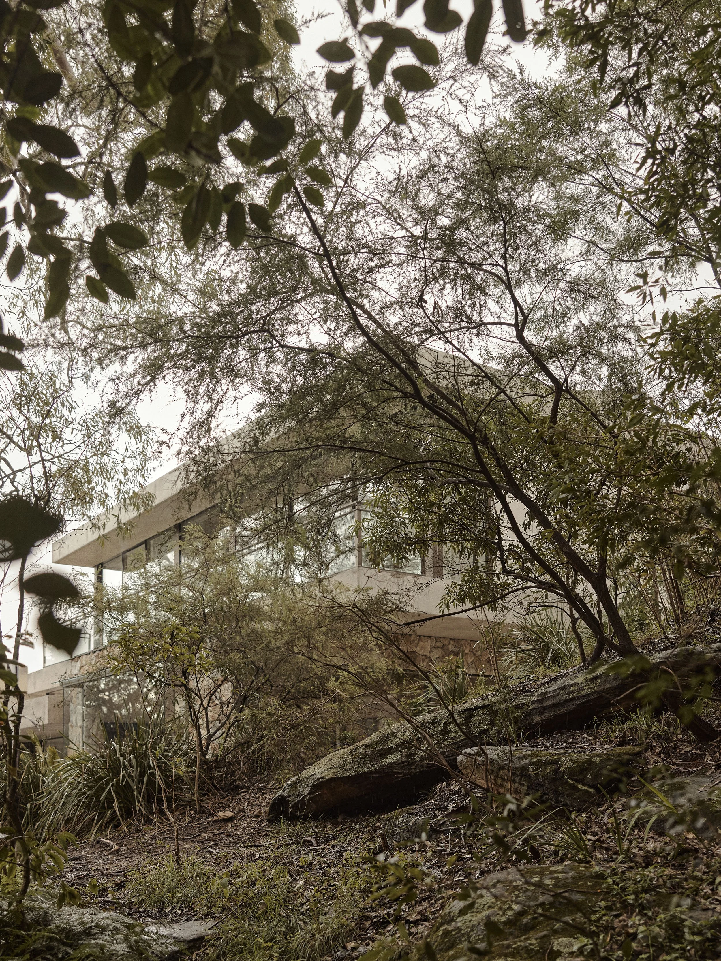 STAFFORD ARCHITECTURE BELLEVUE HILL-081425_0003.jpg