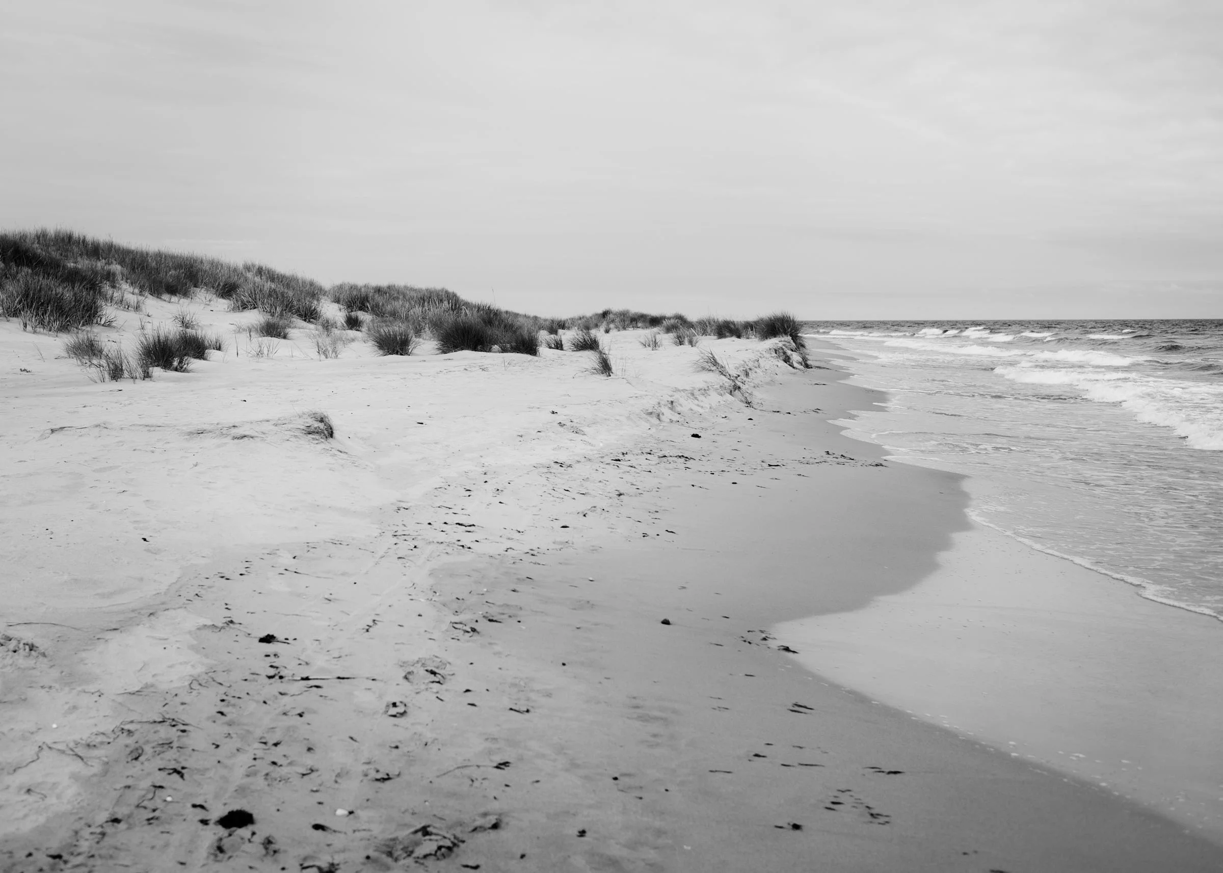Portfolio_420_Landscape Scandinavian BW_Gotland_DSC3221 1_KRISTOFER SAMUELSSON PHOTOGRAPHY.jpg