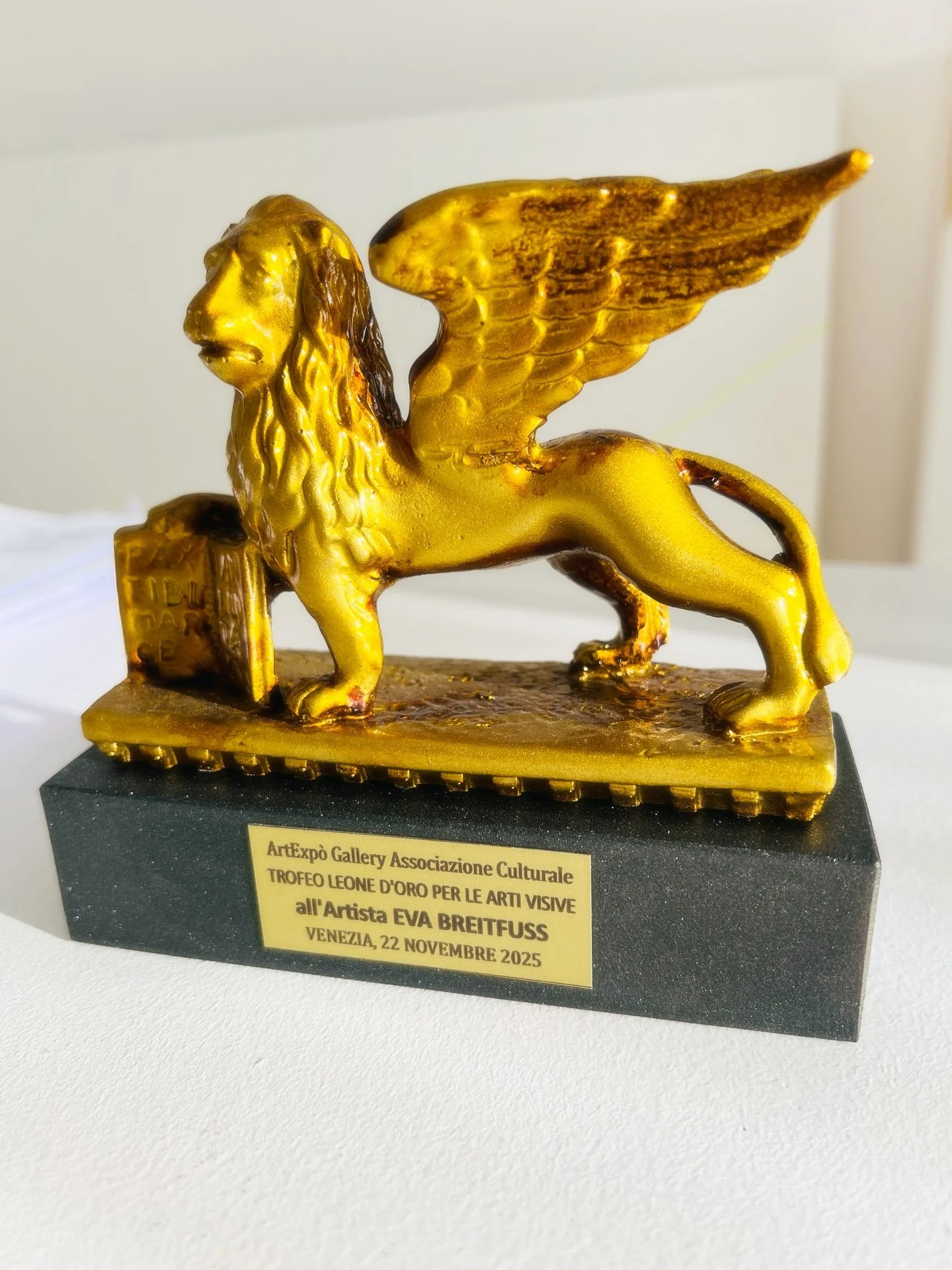 Leone d&lsquo;oro per Le Arti Visive 2025
Trophy
Golden Lion for Visual Arts 2025
Venice, November 22, 2025

Critical Motivation for the Artist&rsquo;s Works
Eva Breifuss
The artist constructs an emotional landscape where barely hinted architectural 