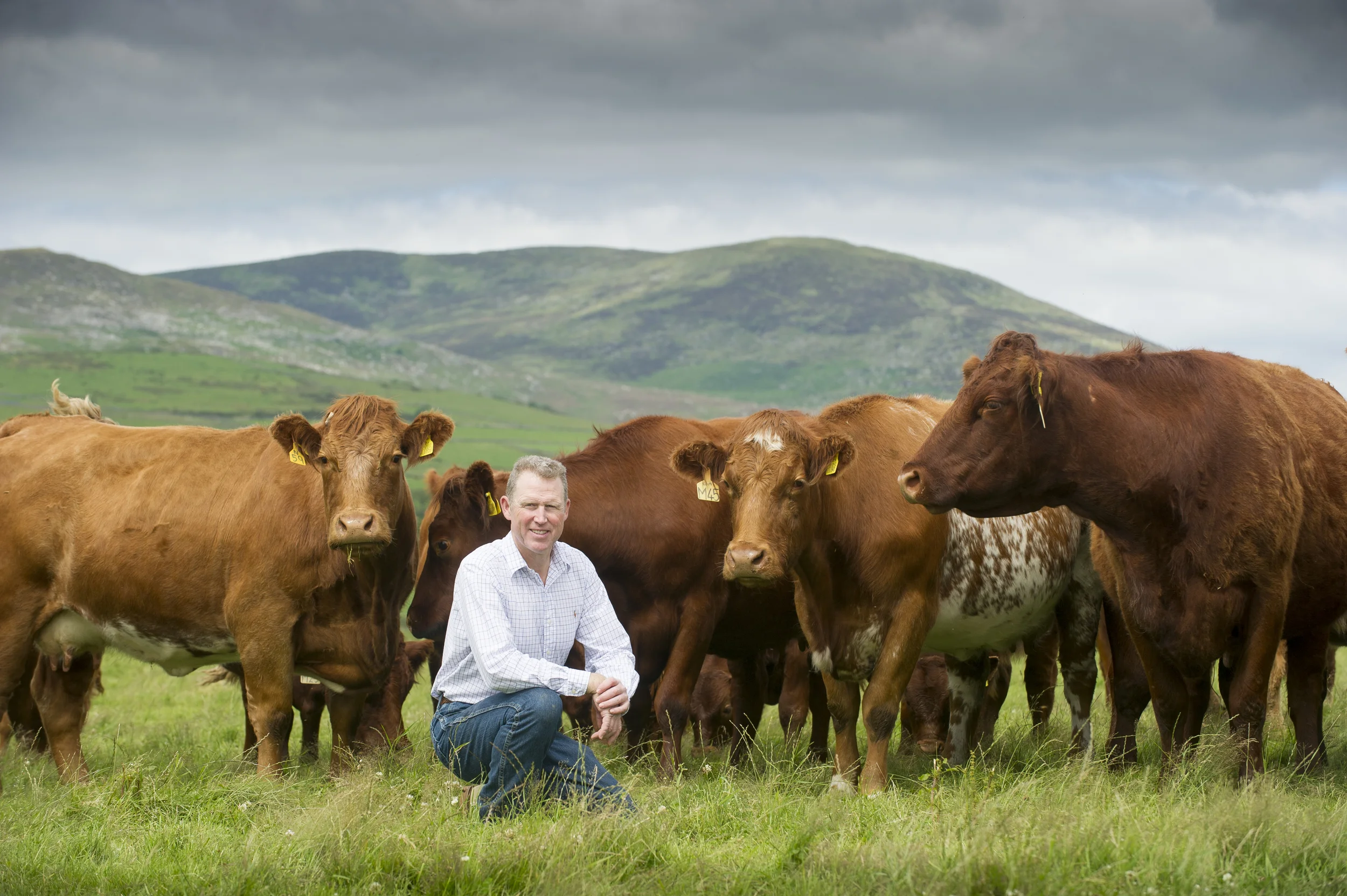 Dumfries & Galloway Life Magazine