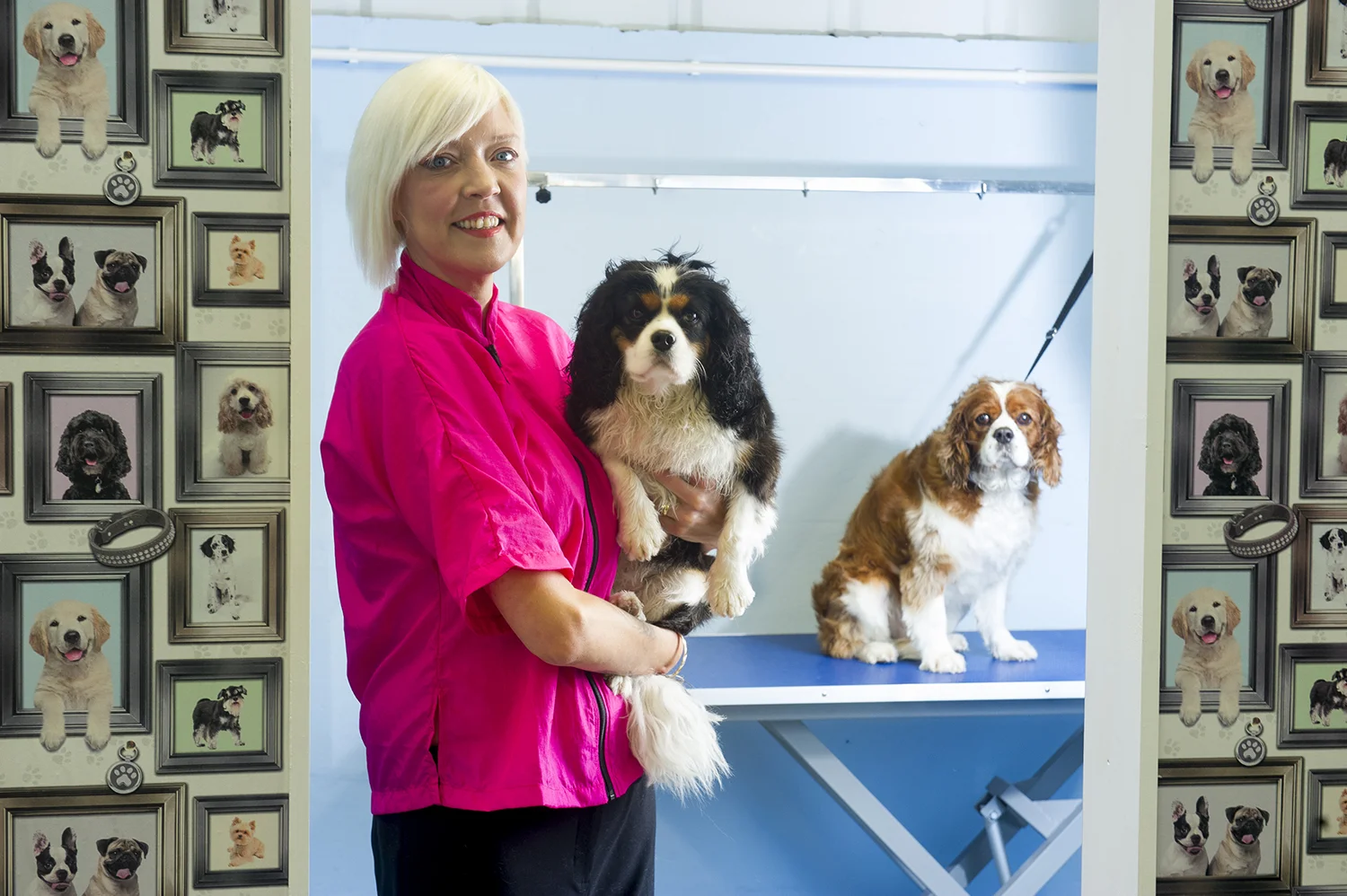Carlisle Living Magazine