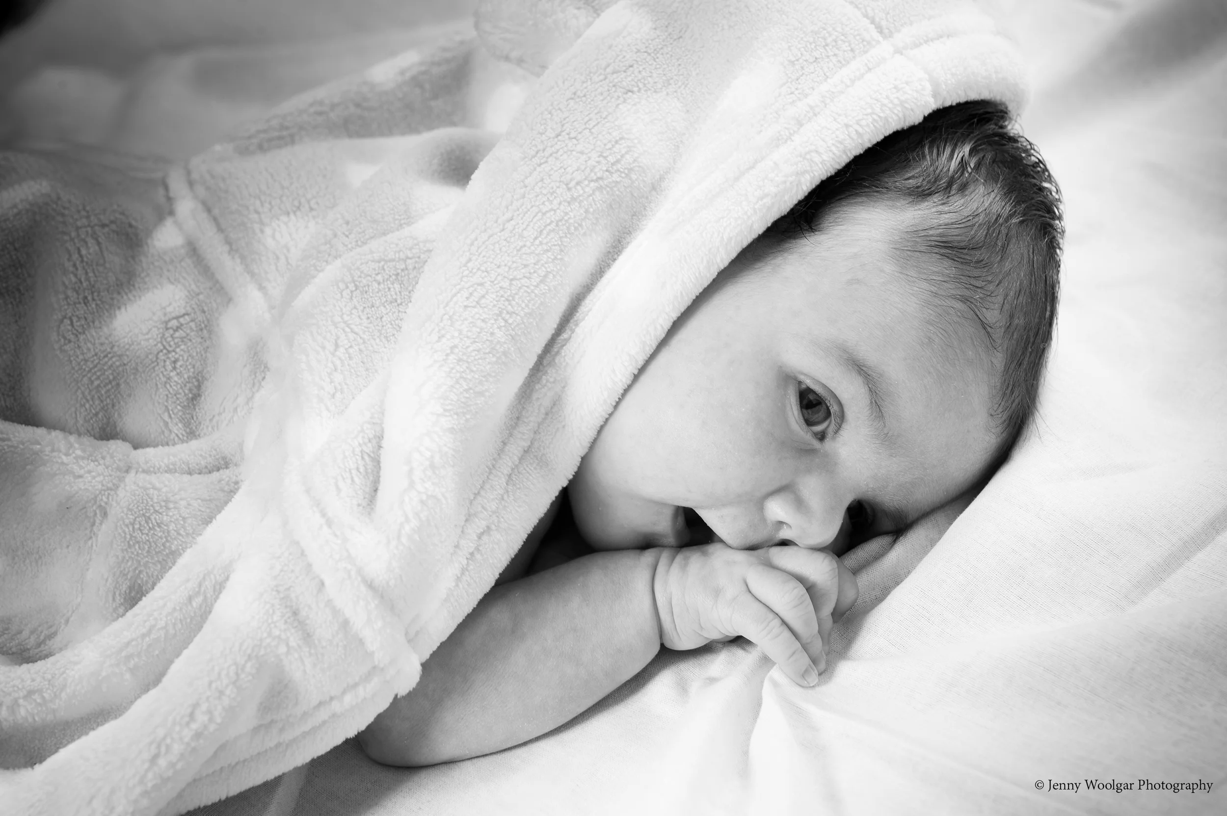 baby portrait carlisle.jpg