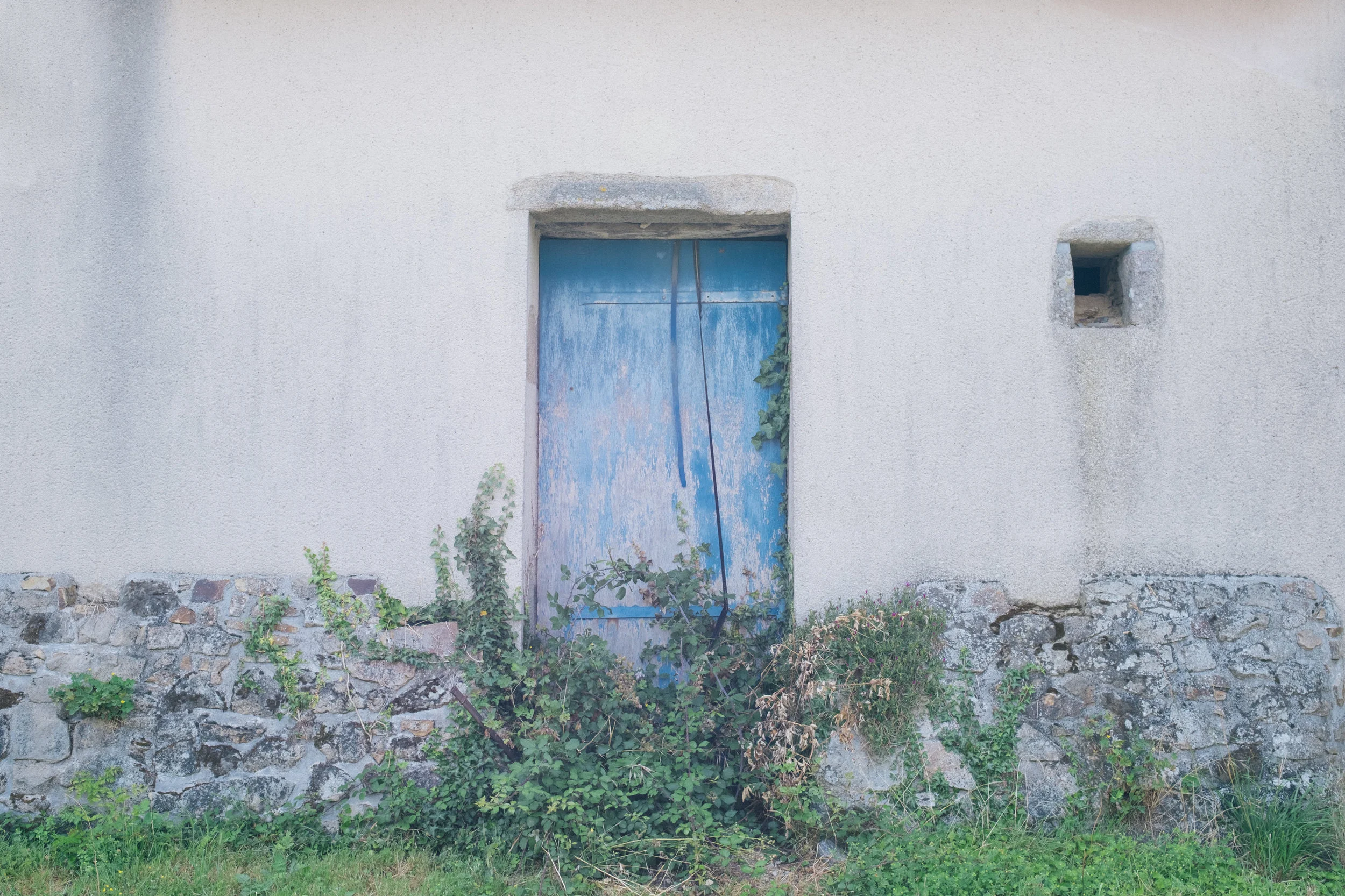 DSCF4342.jpg