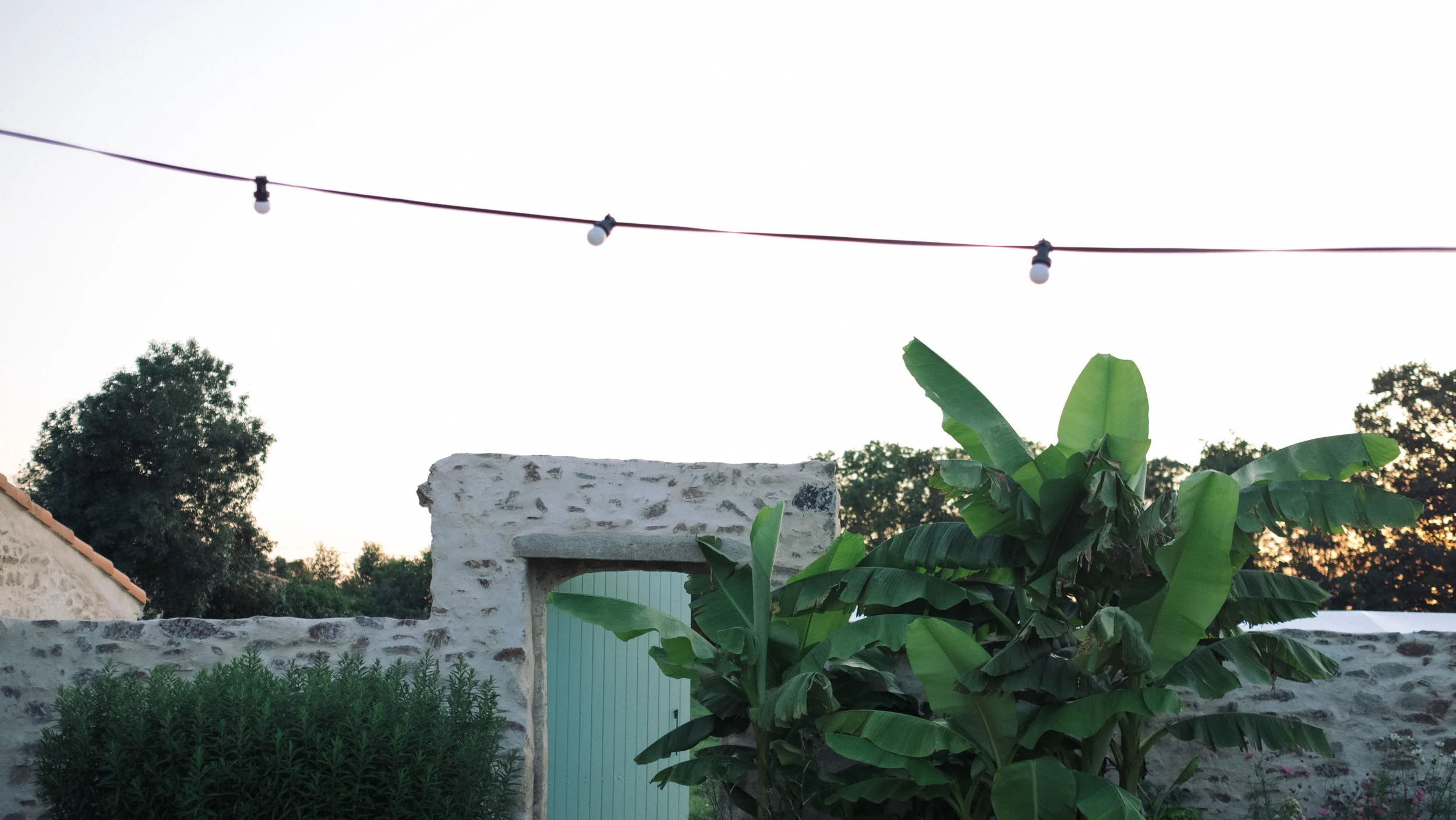 DSCF5209.jpg