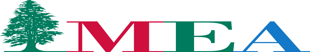 Aviation English rater training for MEA