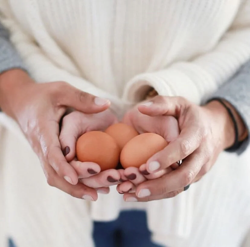 How to Improve Egg Quality: Acupuncture & ATP