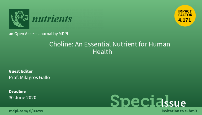 choline_health_horizontal_banner.png
