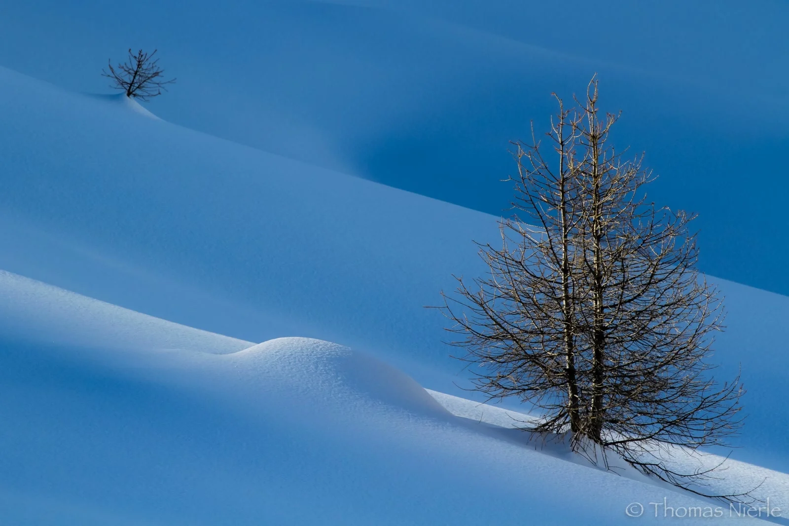 L'hiver sur l'alpage d'Orzival