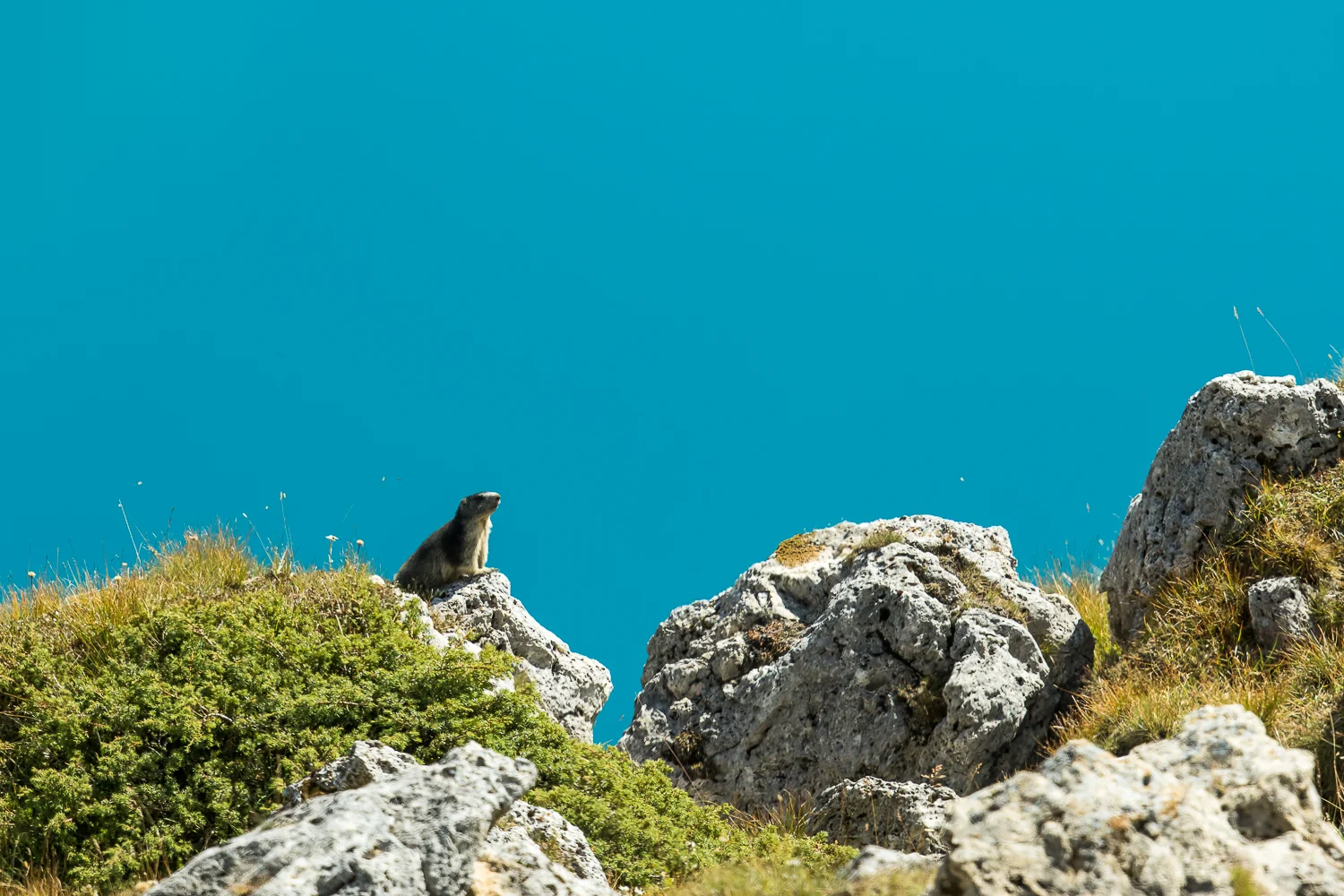 En plein jour le lac de Moiry brille en turquoise... et non, ce n'est pas le ciel photoshopé!