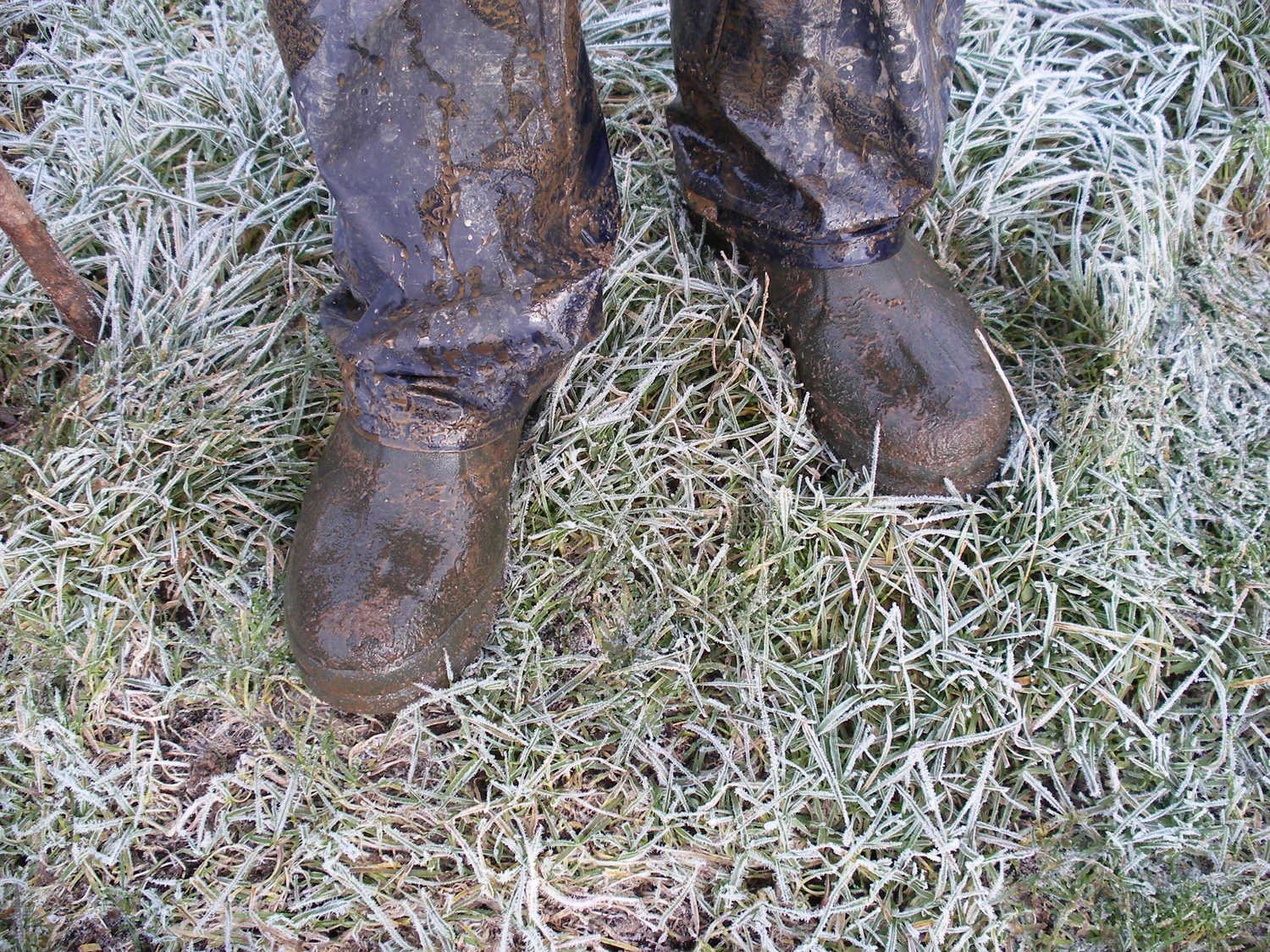 FEET THAT I MEET Potographic series