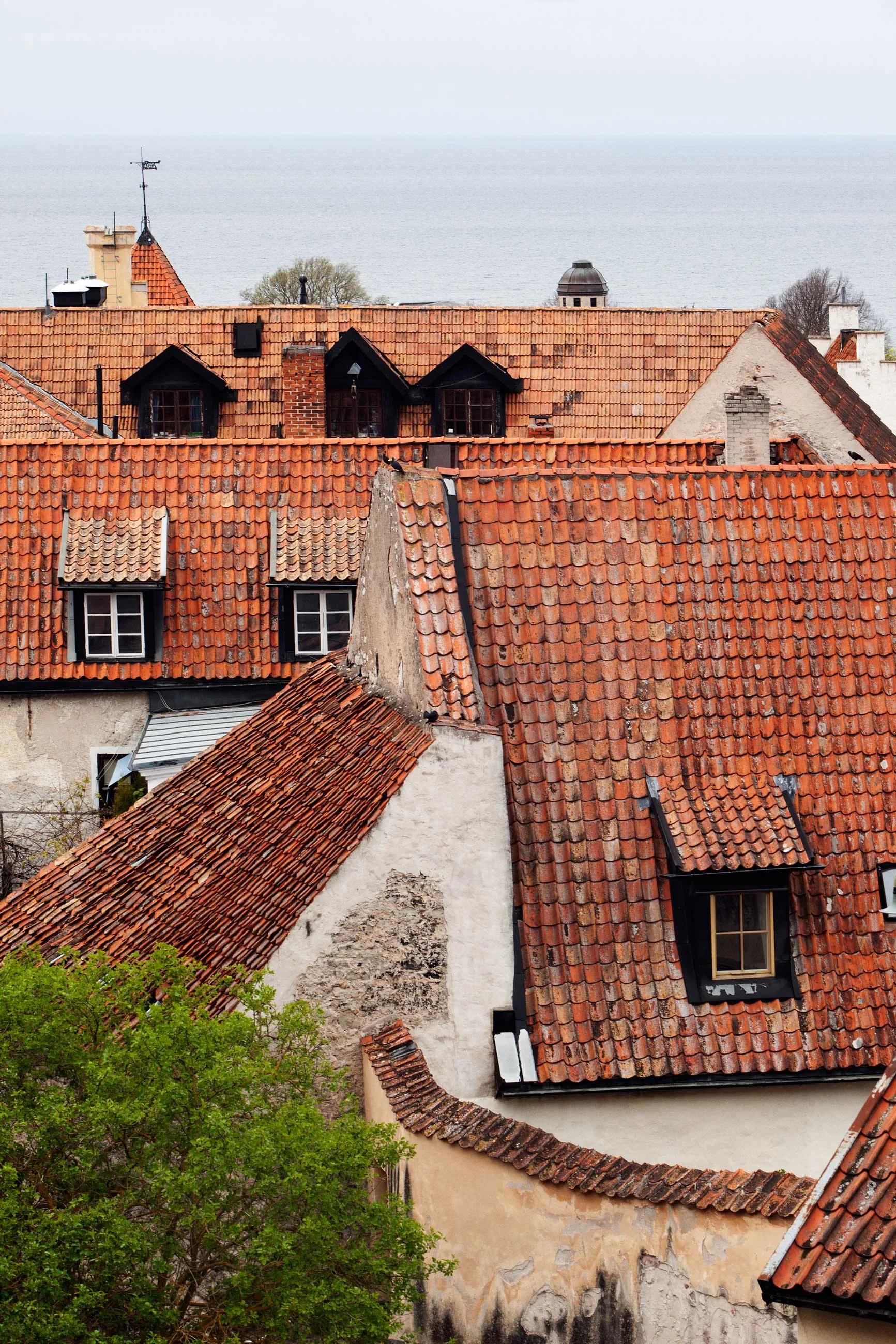 visby_MG_1435.jpg