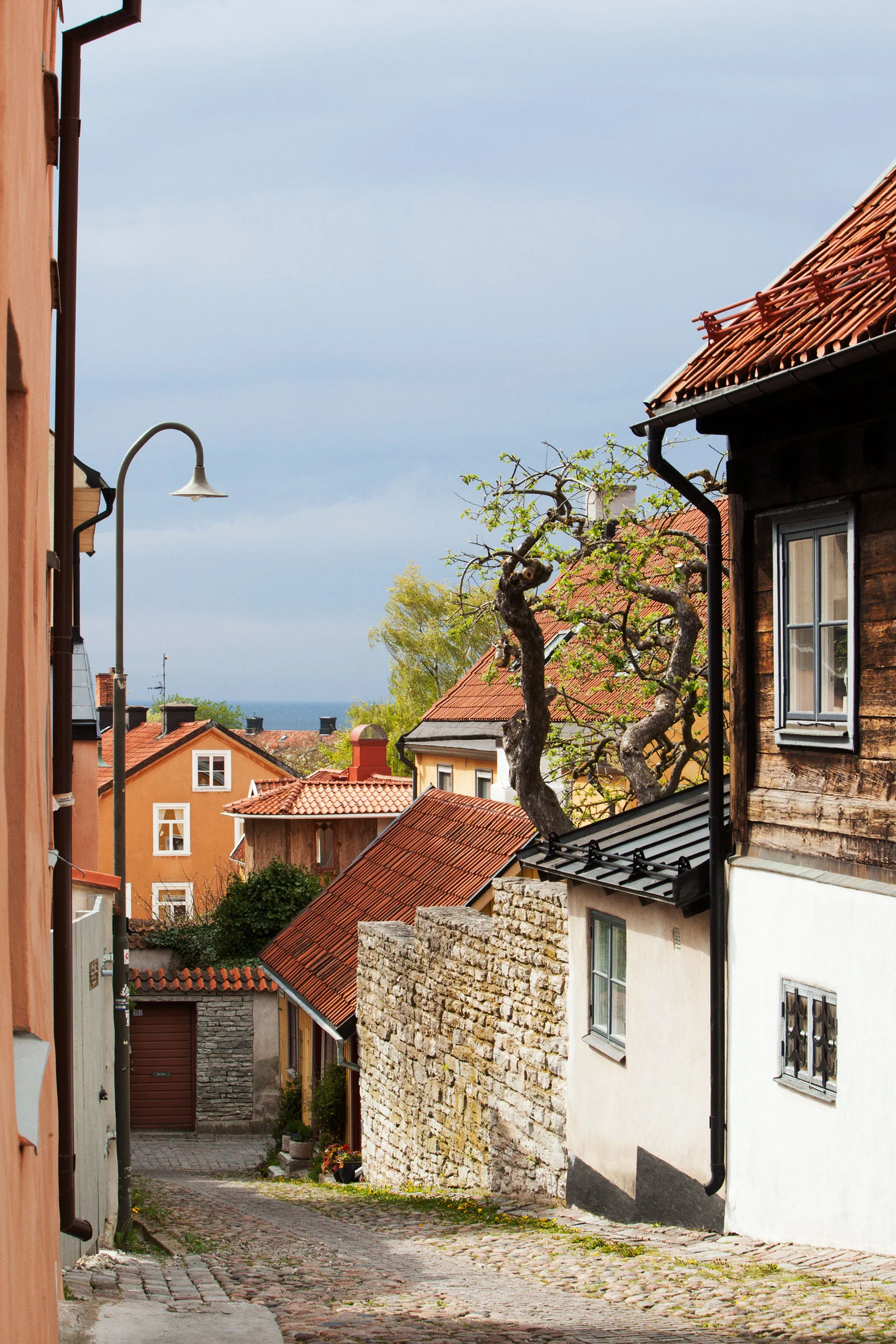 visby_MG_1538.jpg