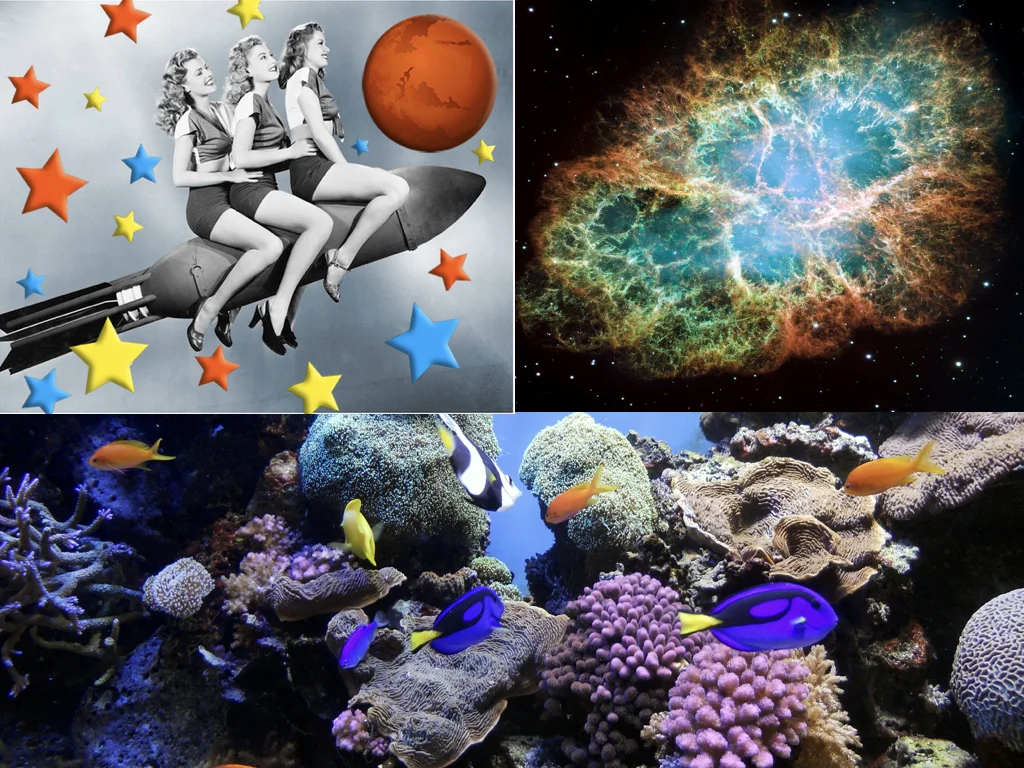 Dark Energy, Getting to Mars and Protecting Coral Reefs