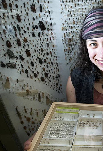 Sandra R Schachat PhD student in the Department of Geological Sciences at Stanford University I mainly study insect evolution through fossils and I am interested in changes in earth's atmosphere on timescales of many millions of years.