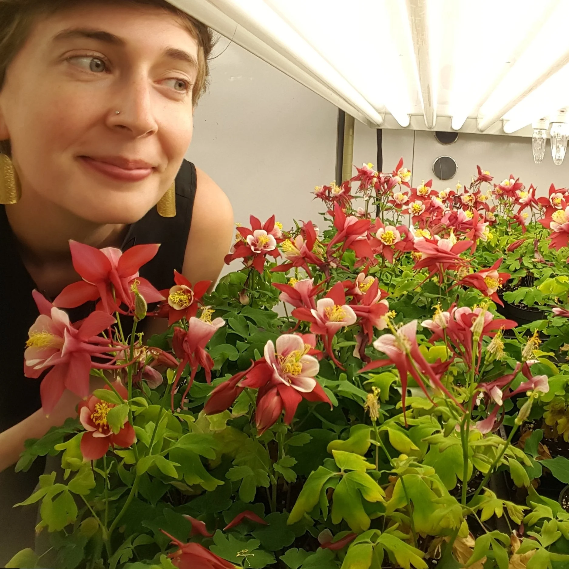 c8ee3bd30cbf-Mollycolumbines.jpg
