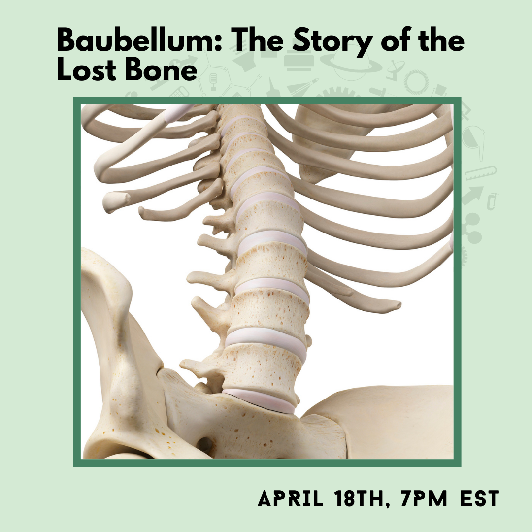 Baubellum: The Story of the Lost Bone