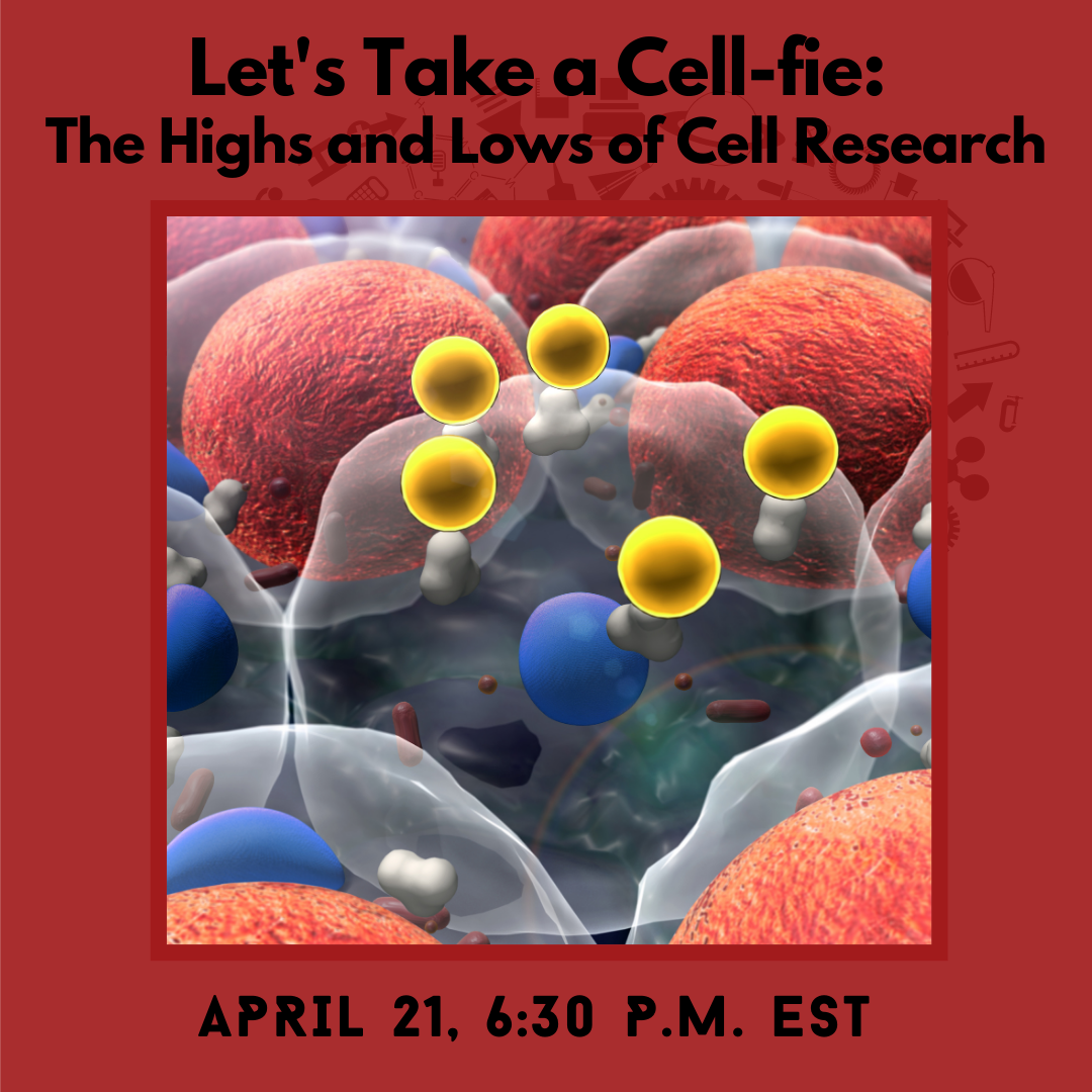 Let's take a Cell-fie:  the Highs and Lows of Cell Research