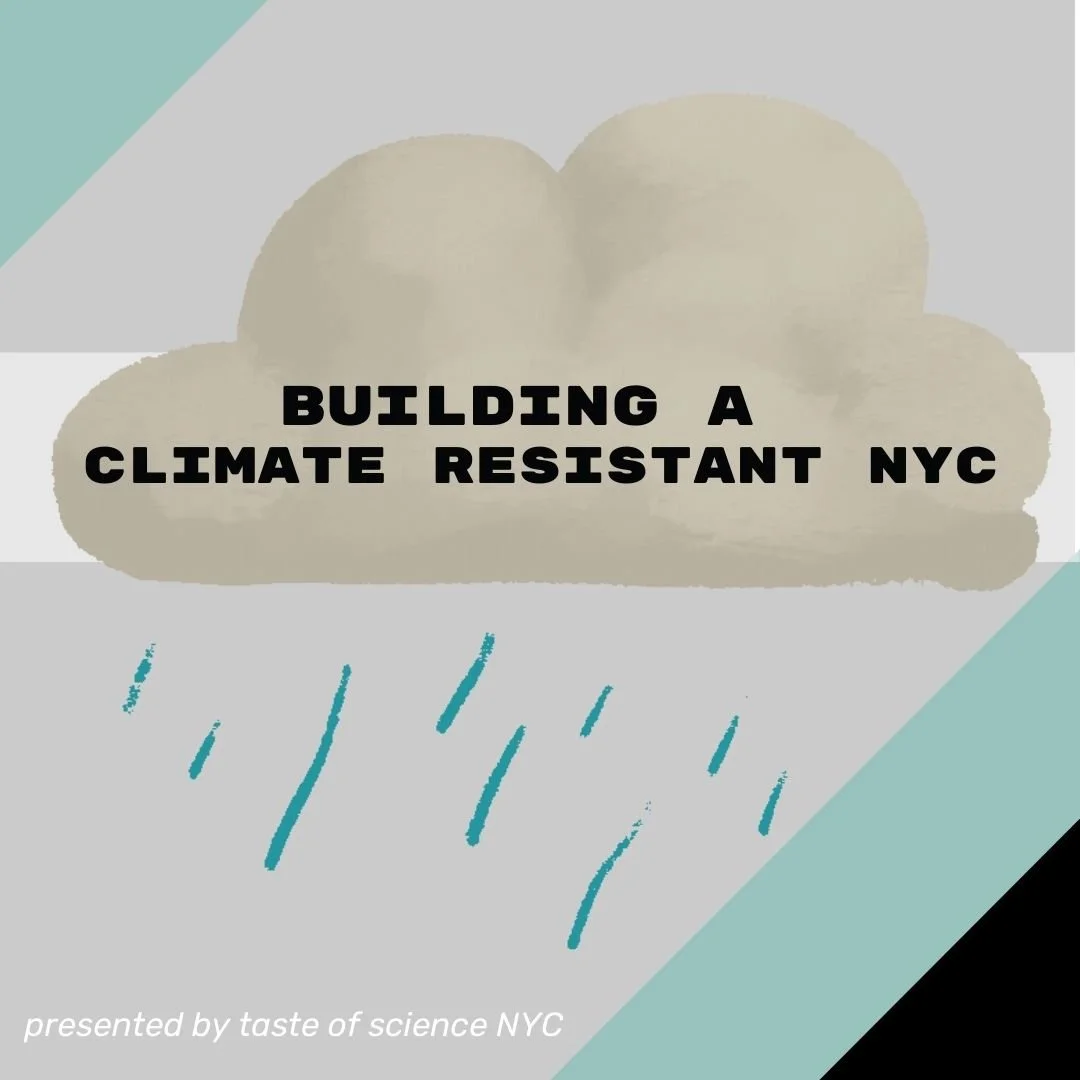 Building a Climate Resistant NYC