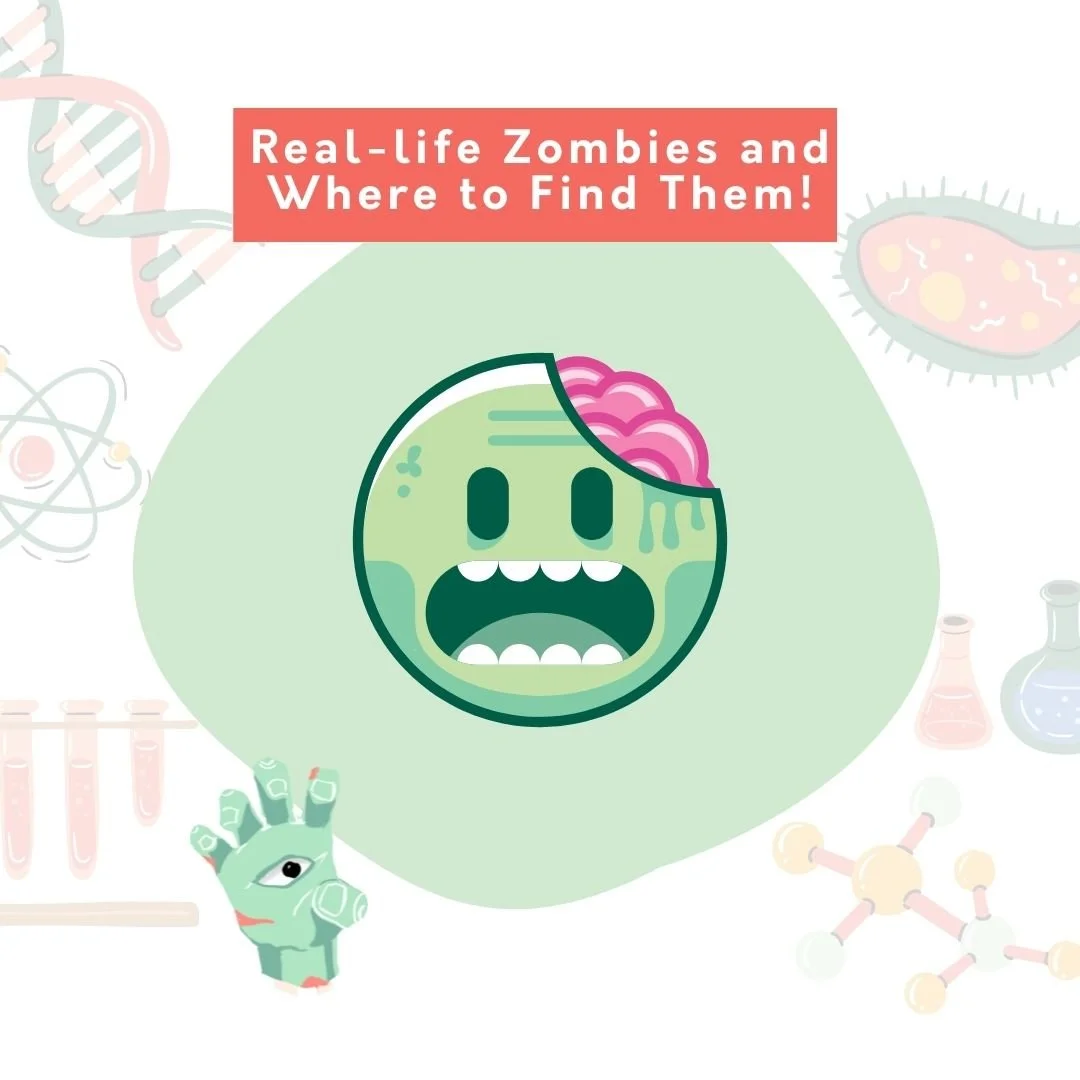 Real life zombies and where to find them